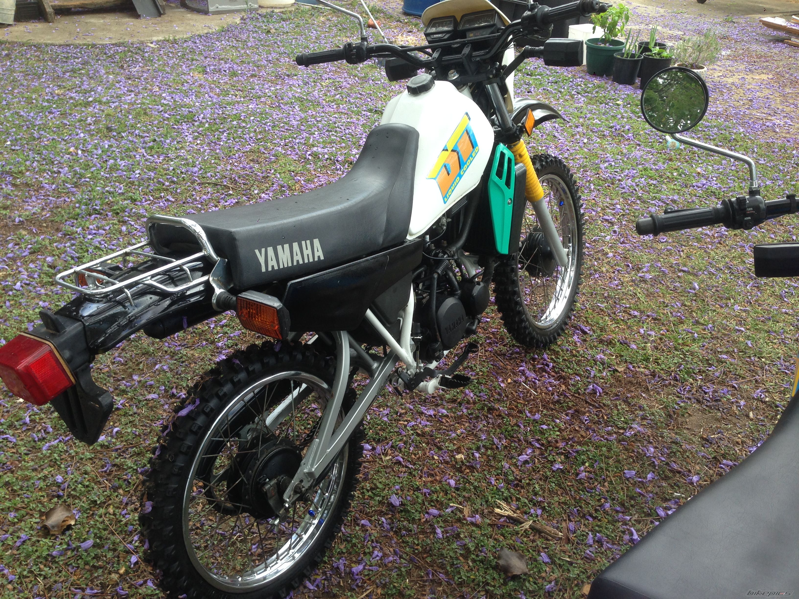 Photo 2703645