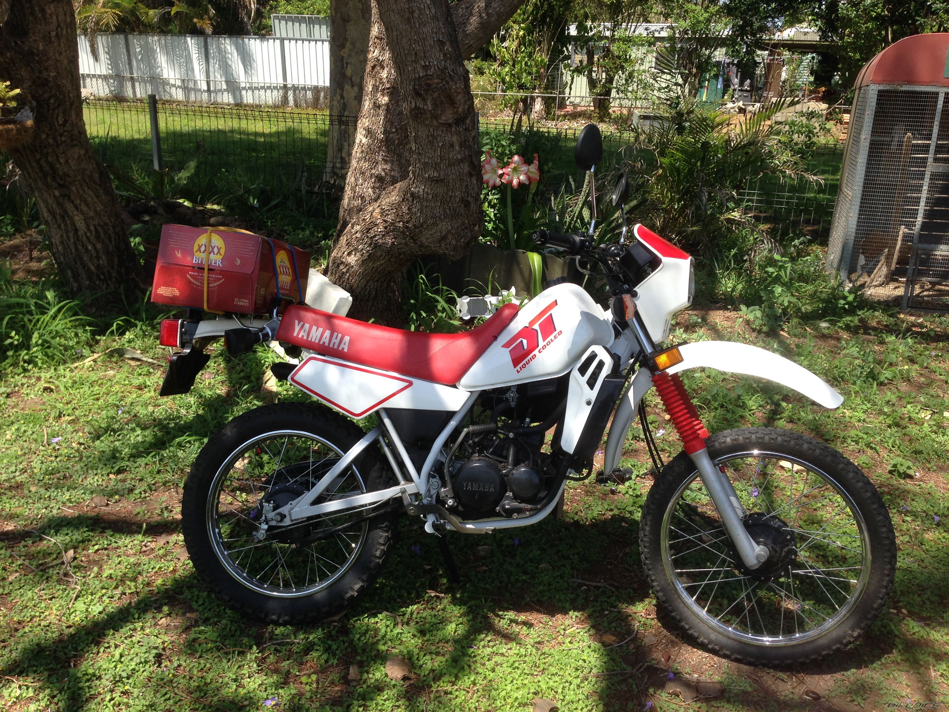 Photo 2703646