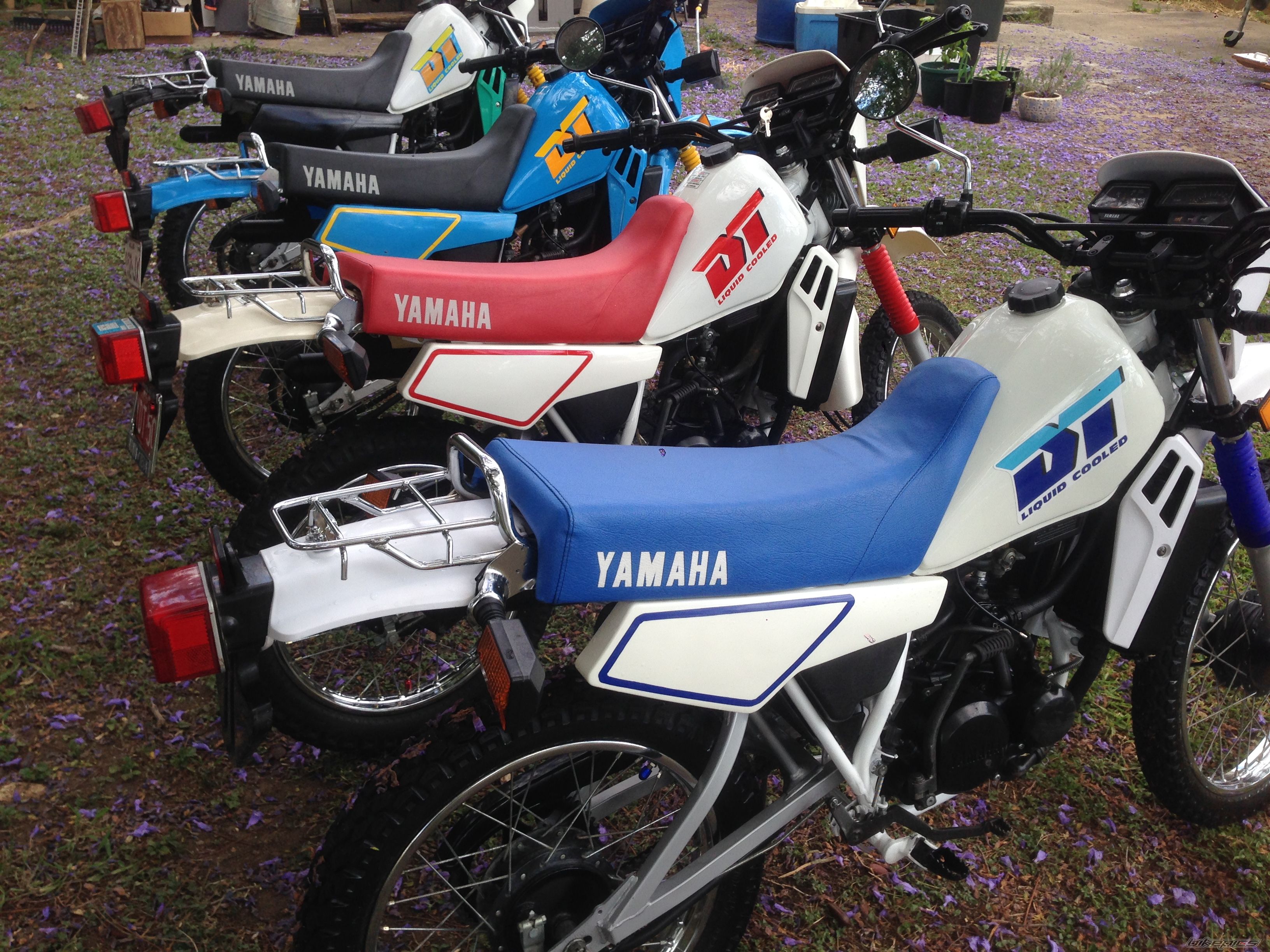 Photo 2703647