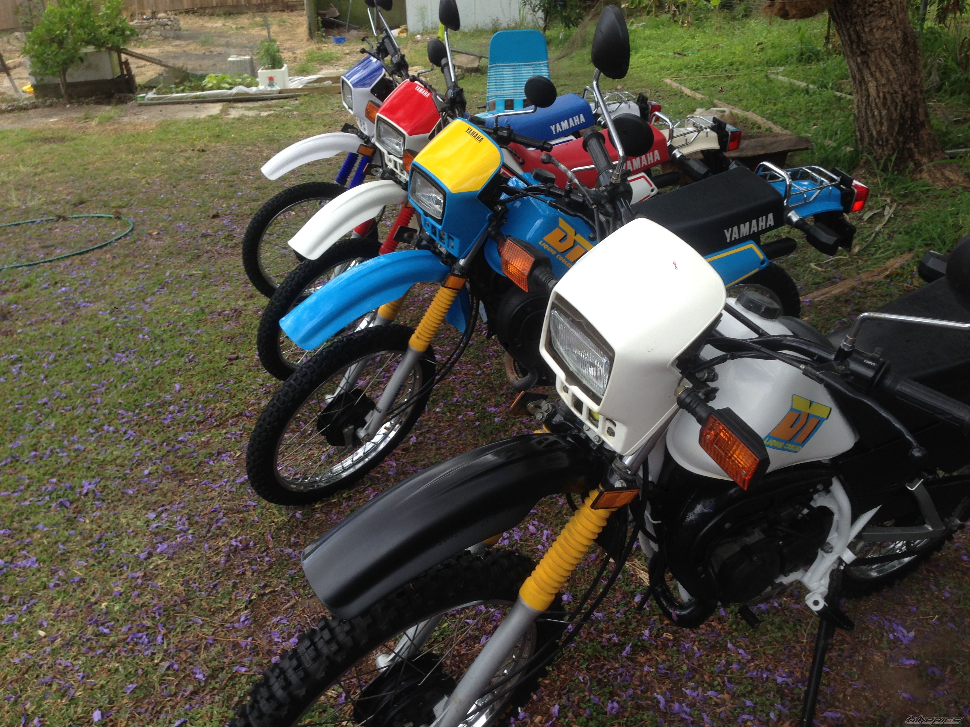 Photo 2703648