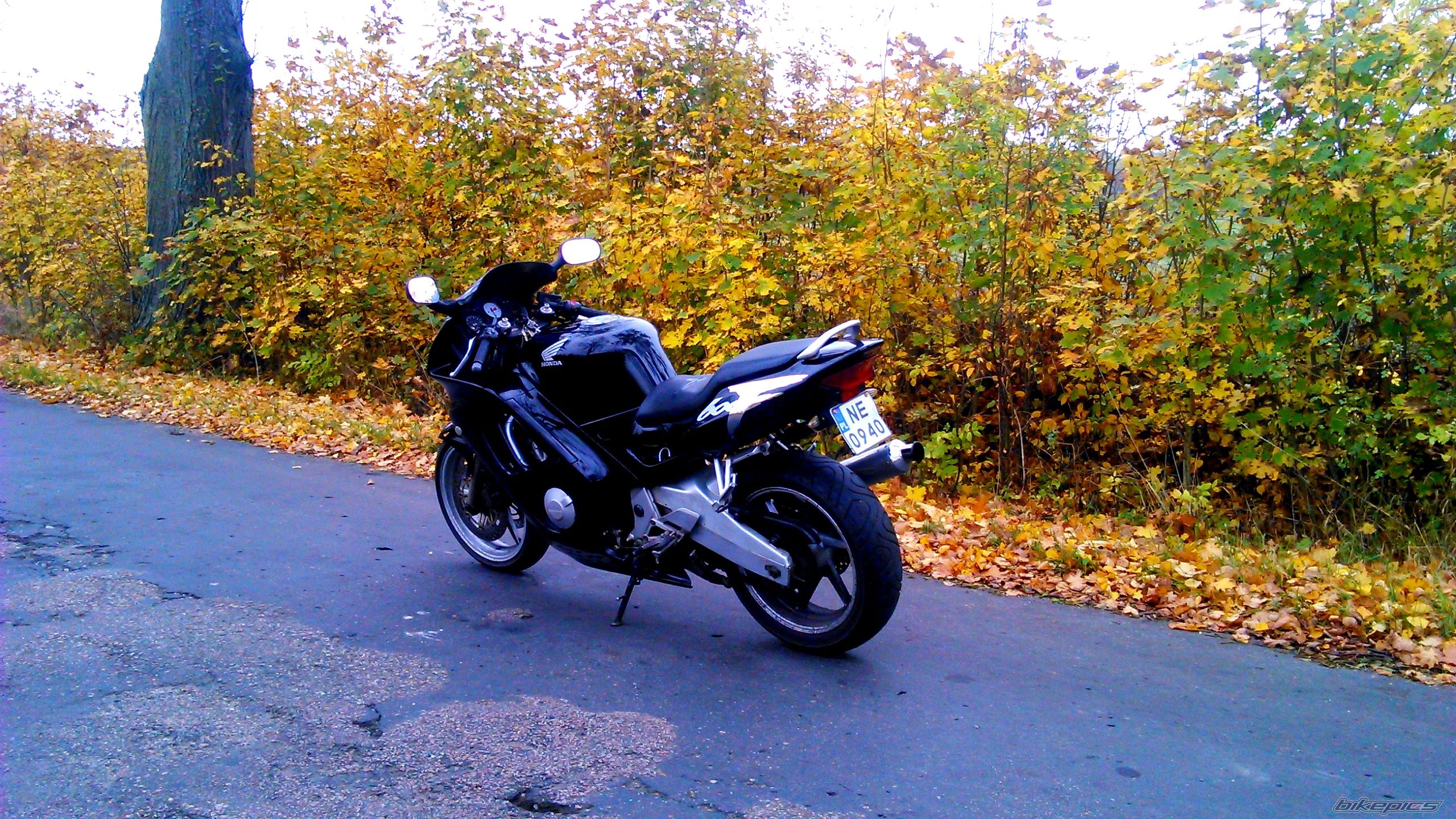 Photo 2703662