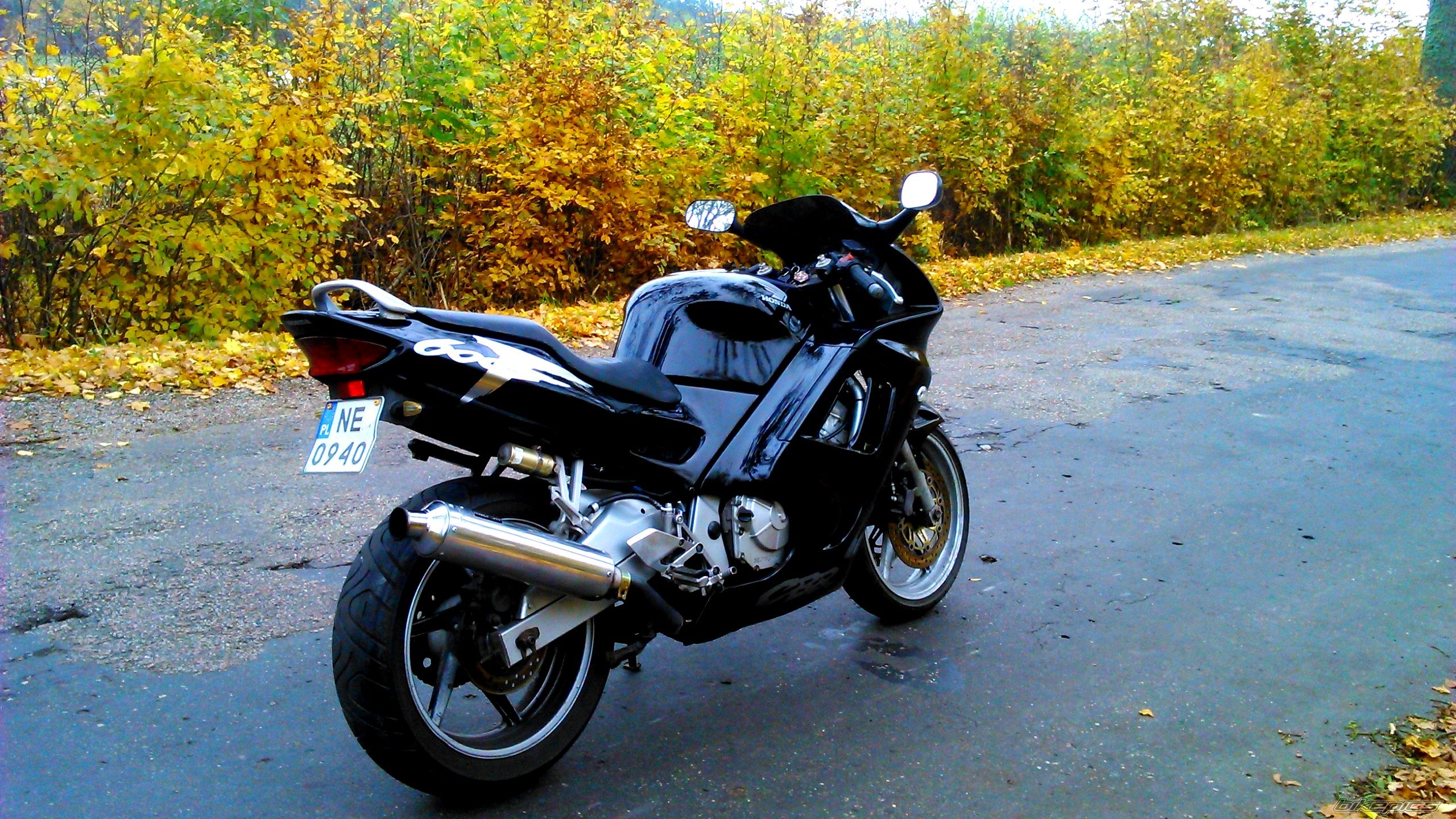 Photo 2703663