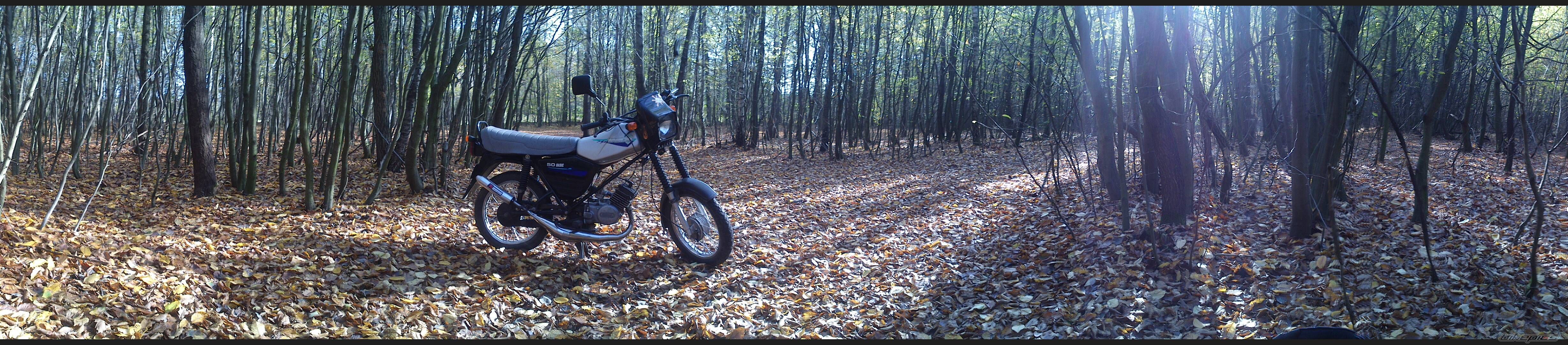 Photo 2703667