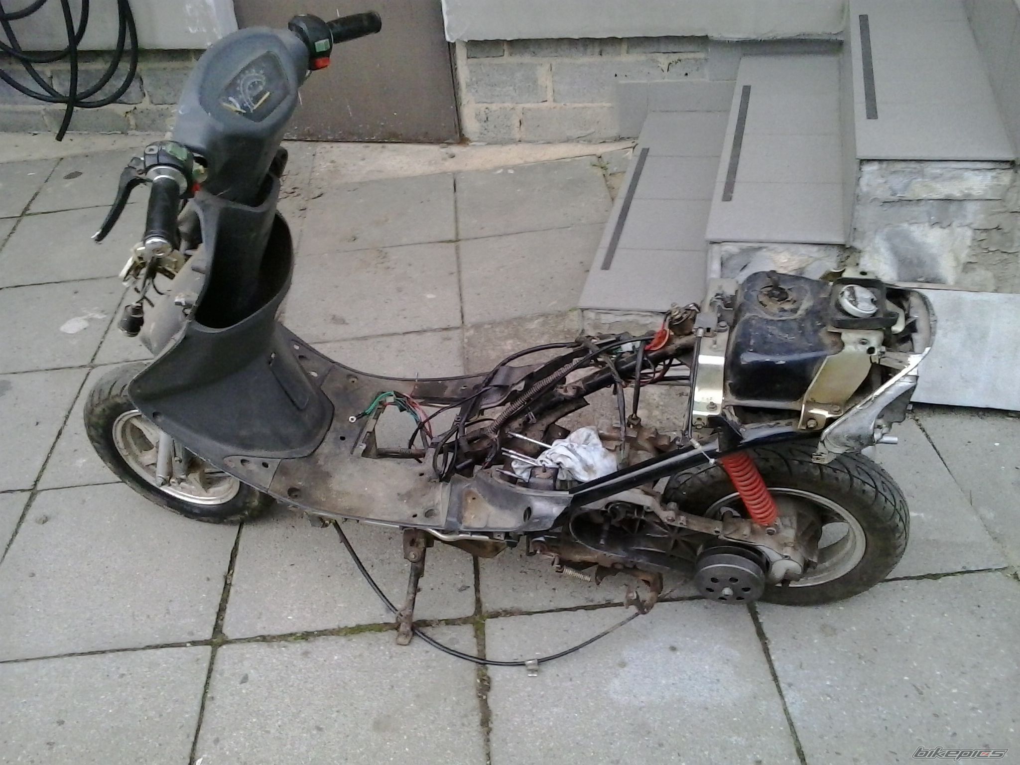 Photo 2703820