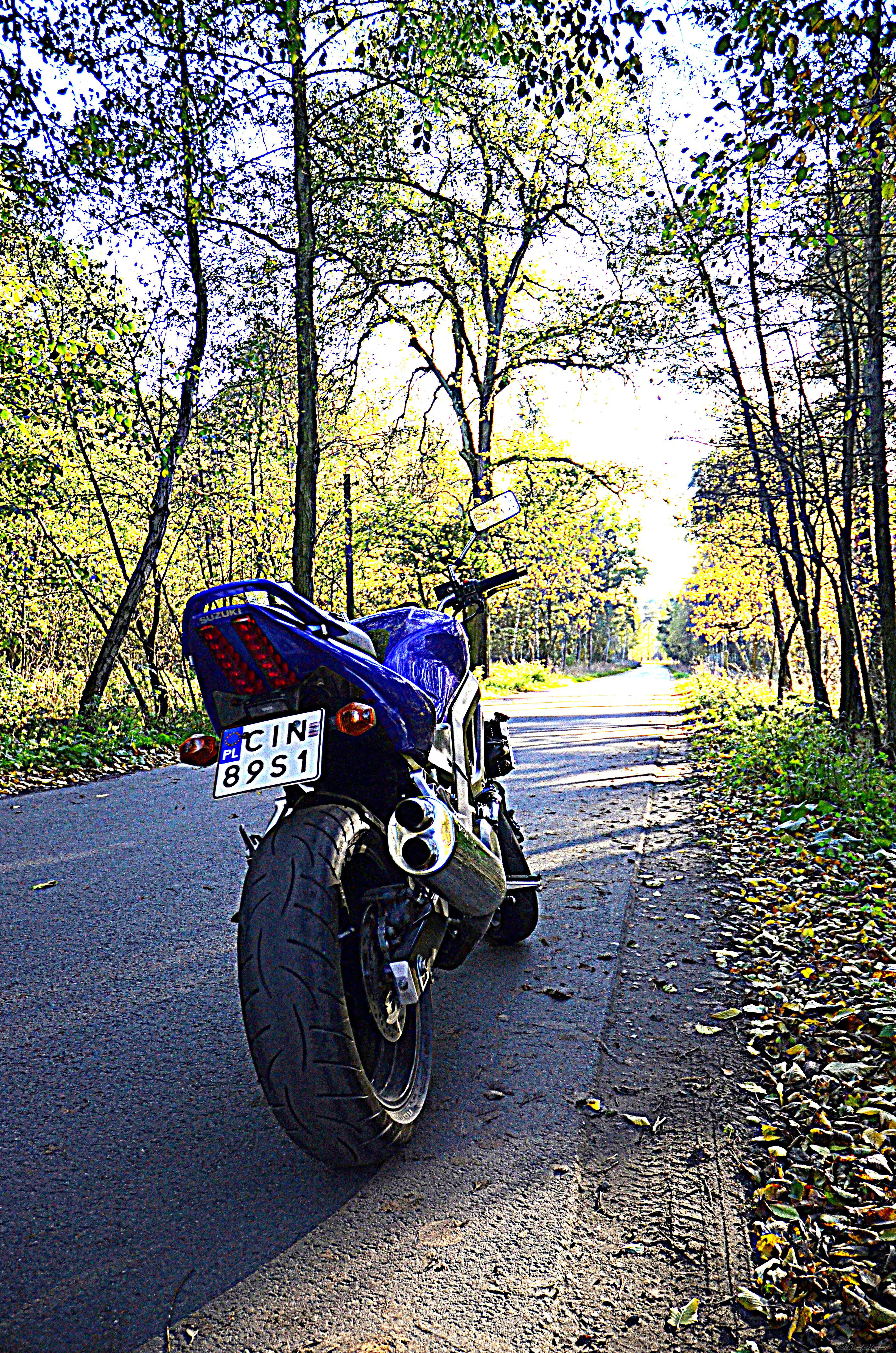 Photo 2703873