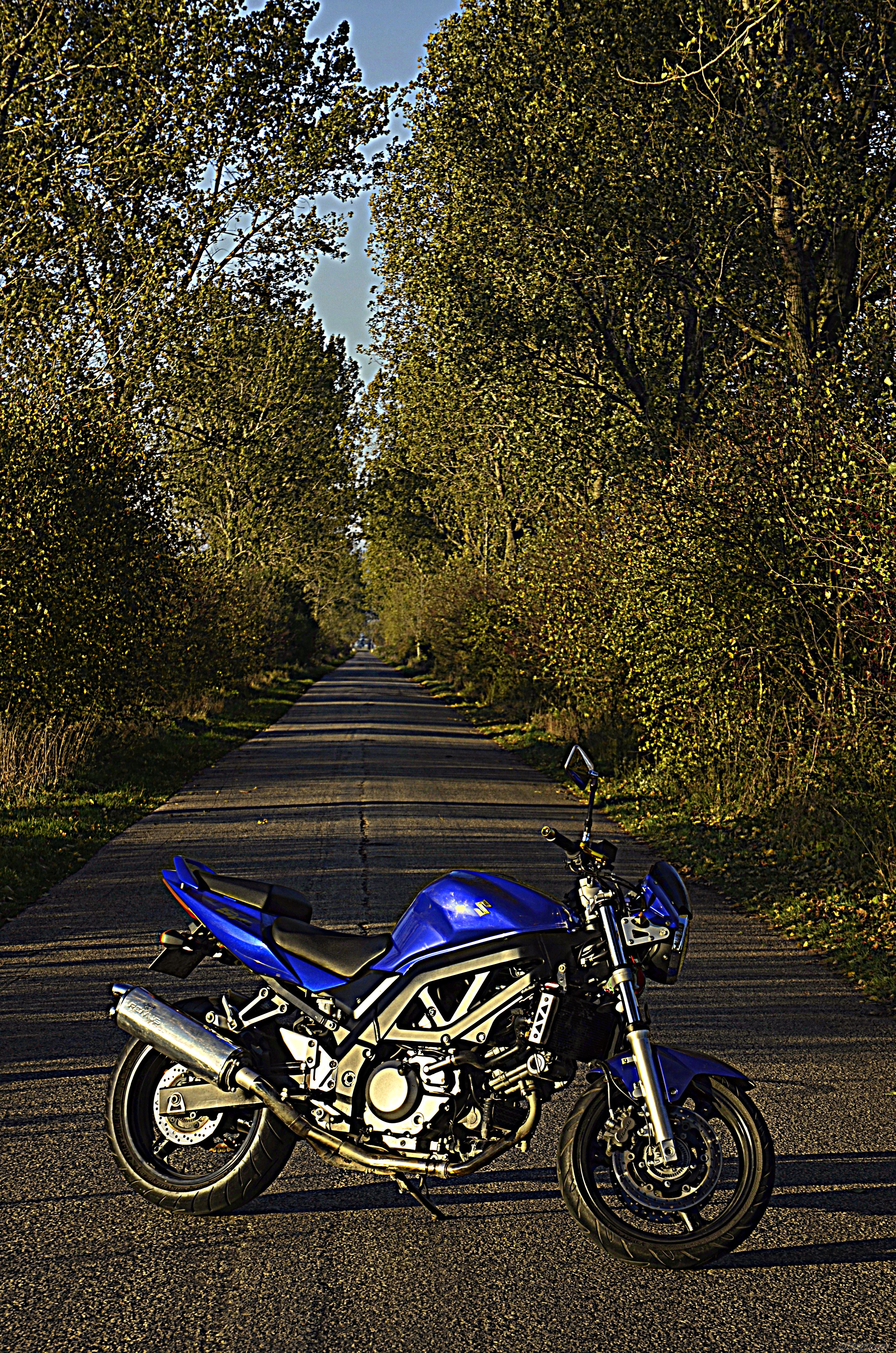 Photo 2703877