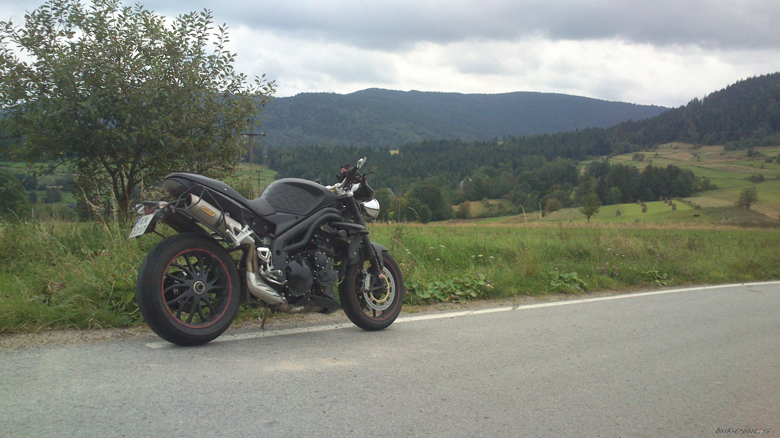 Photo 2703951
