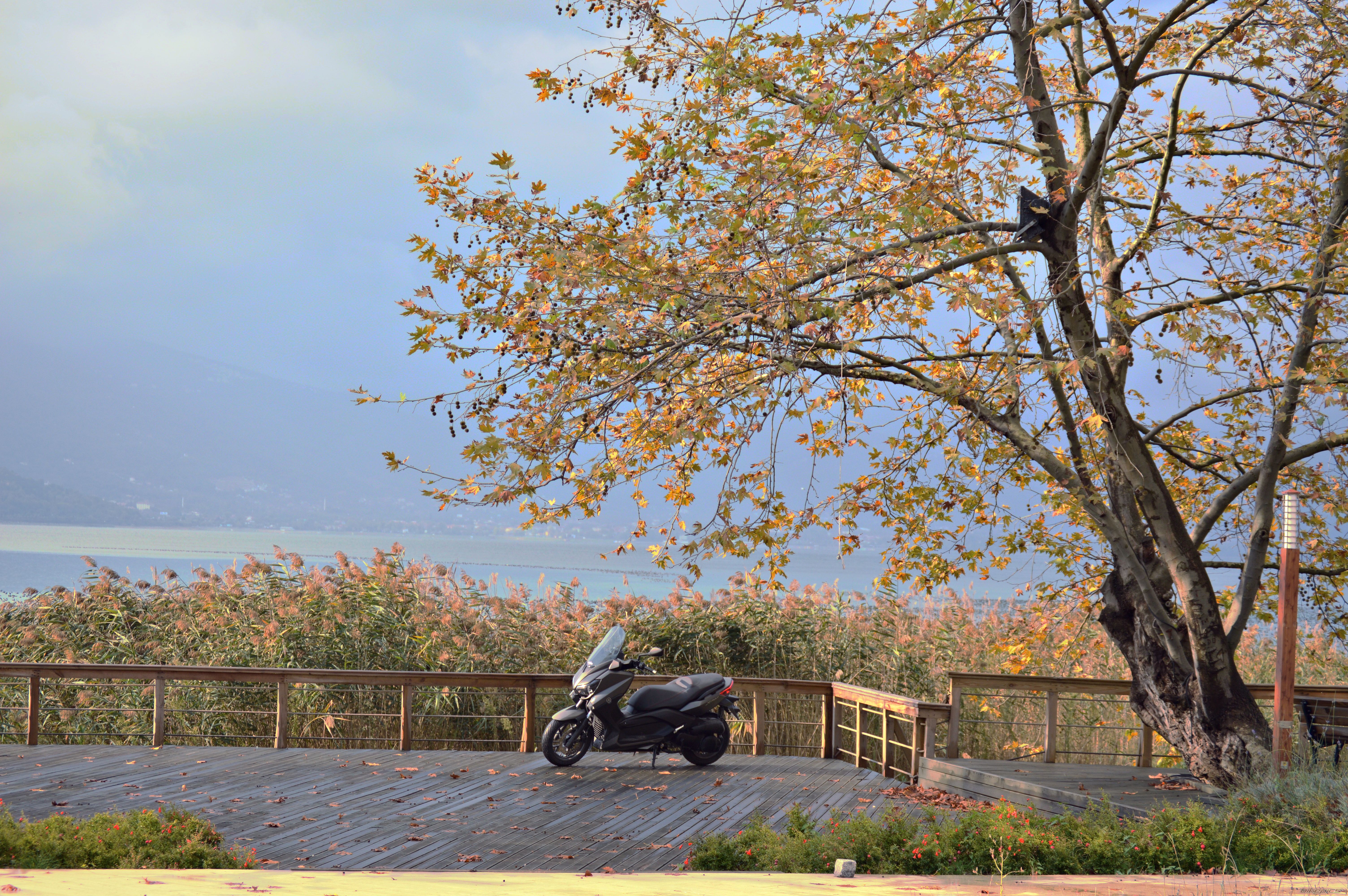Photo 2703959