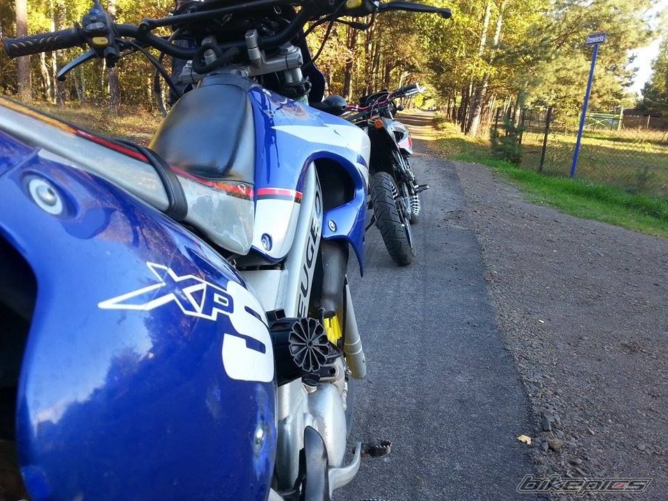 Photo 2703989
