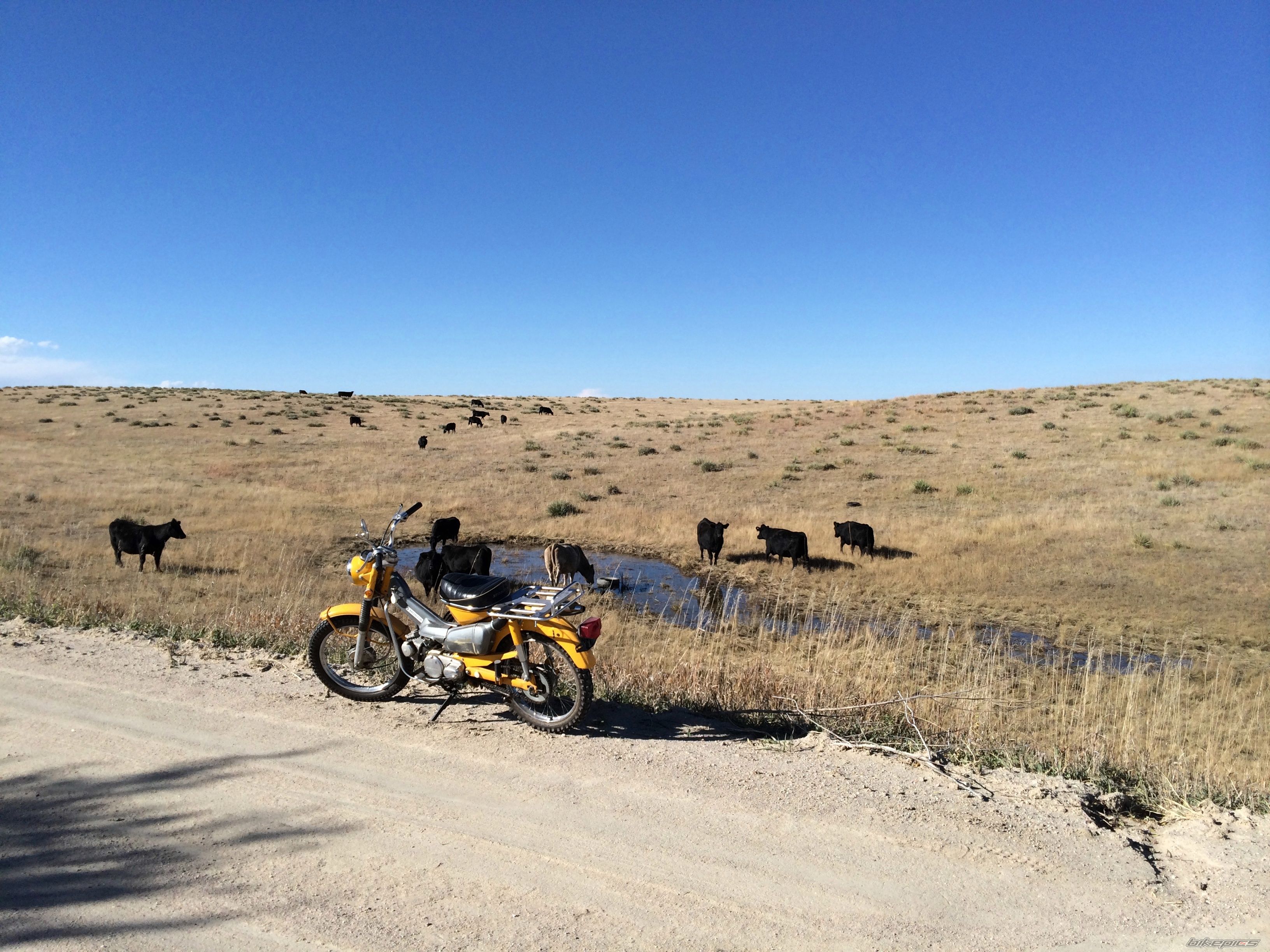 Bike Photo 2704053