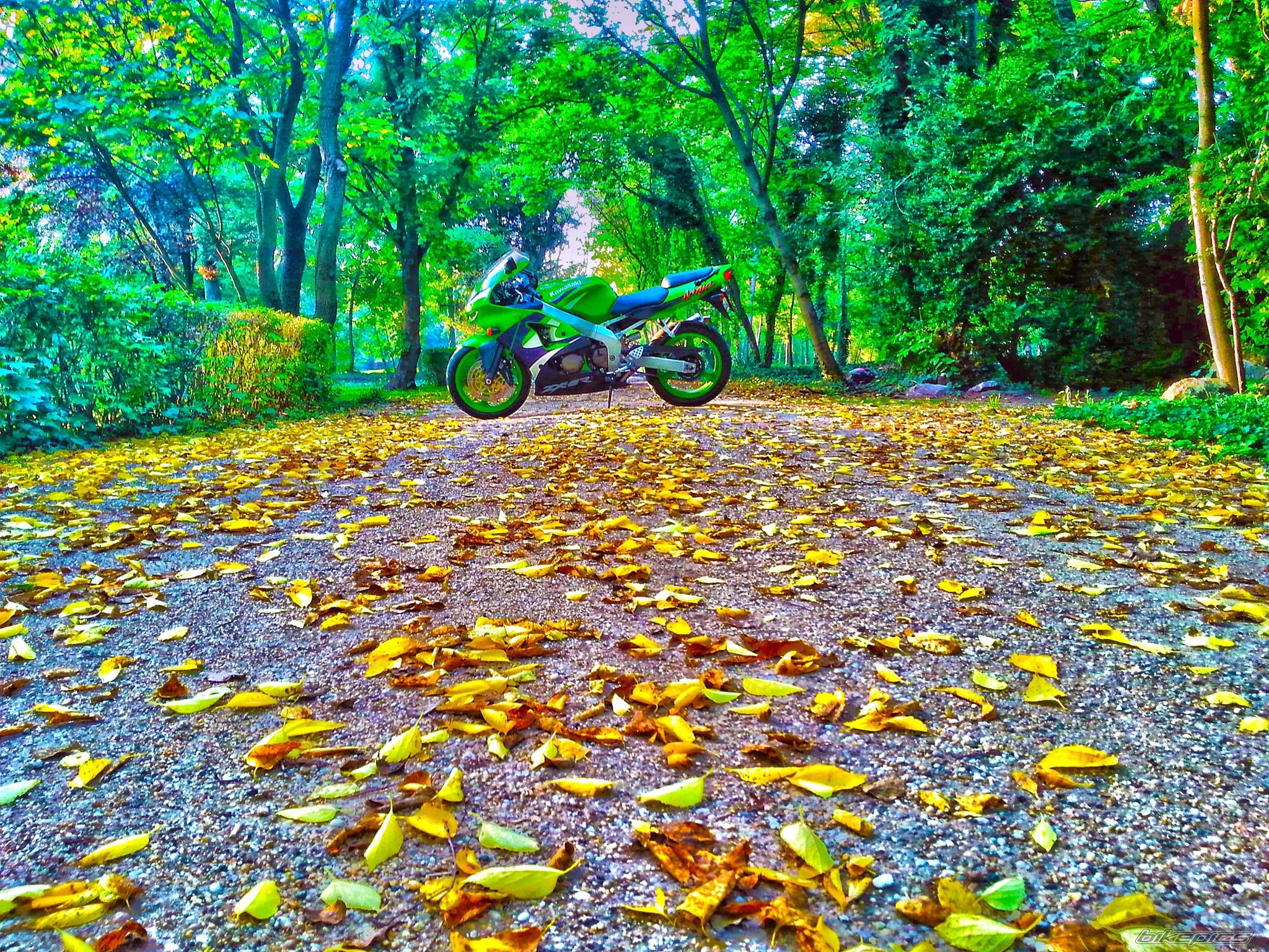 Bike Photo 2704113