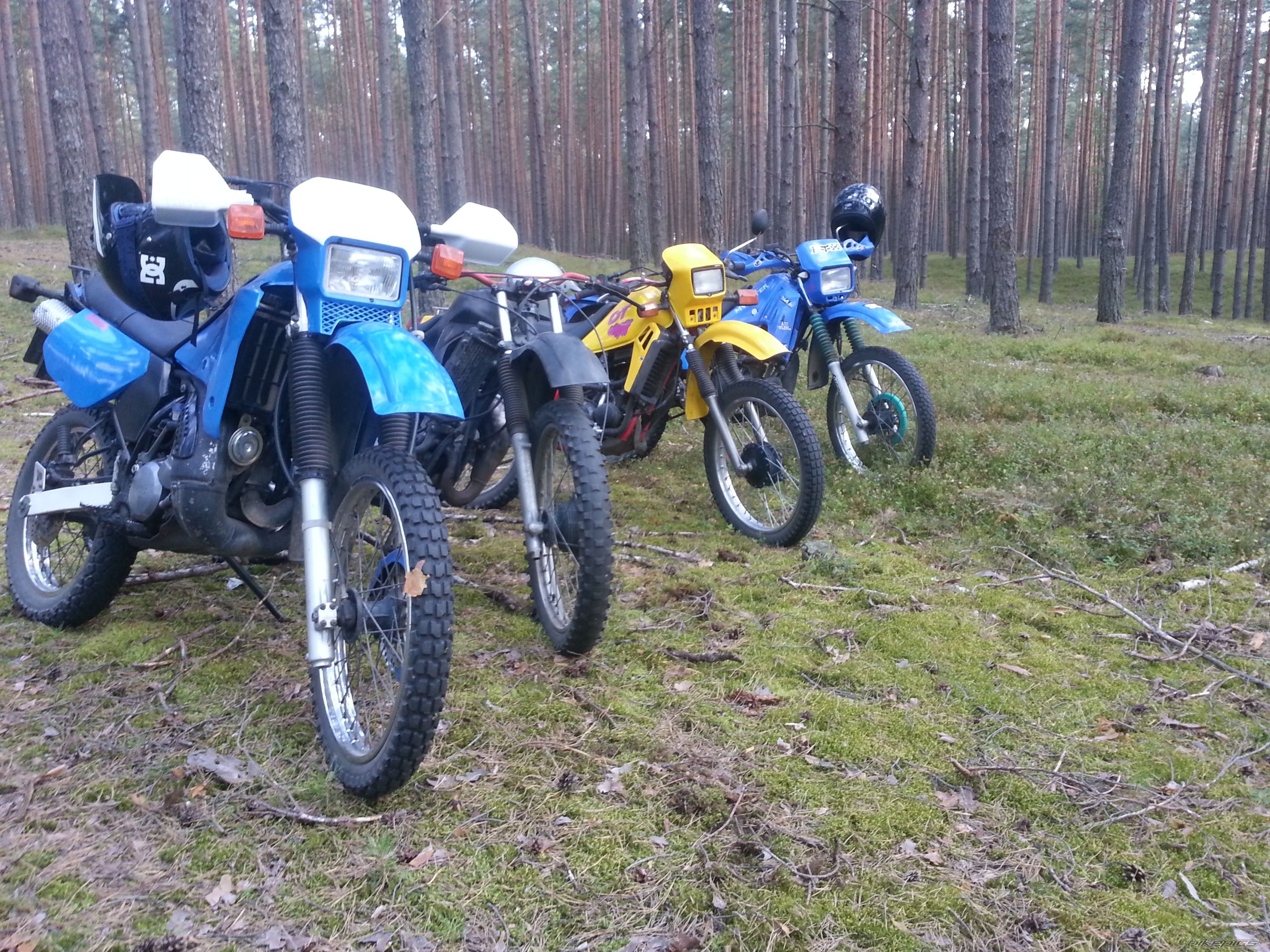 Photo 2704197