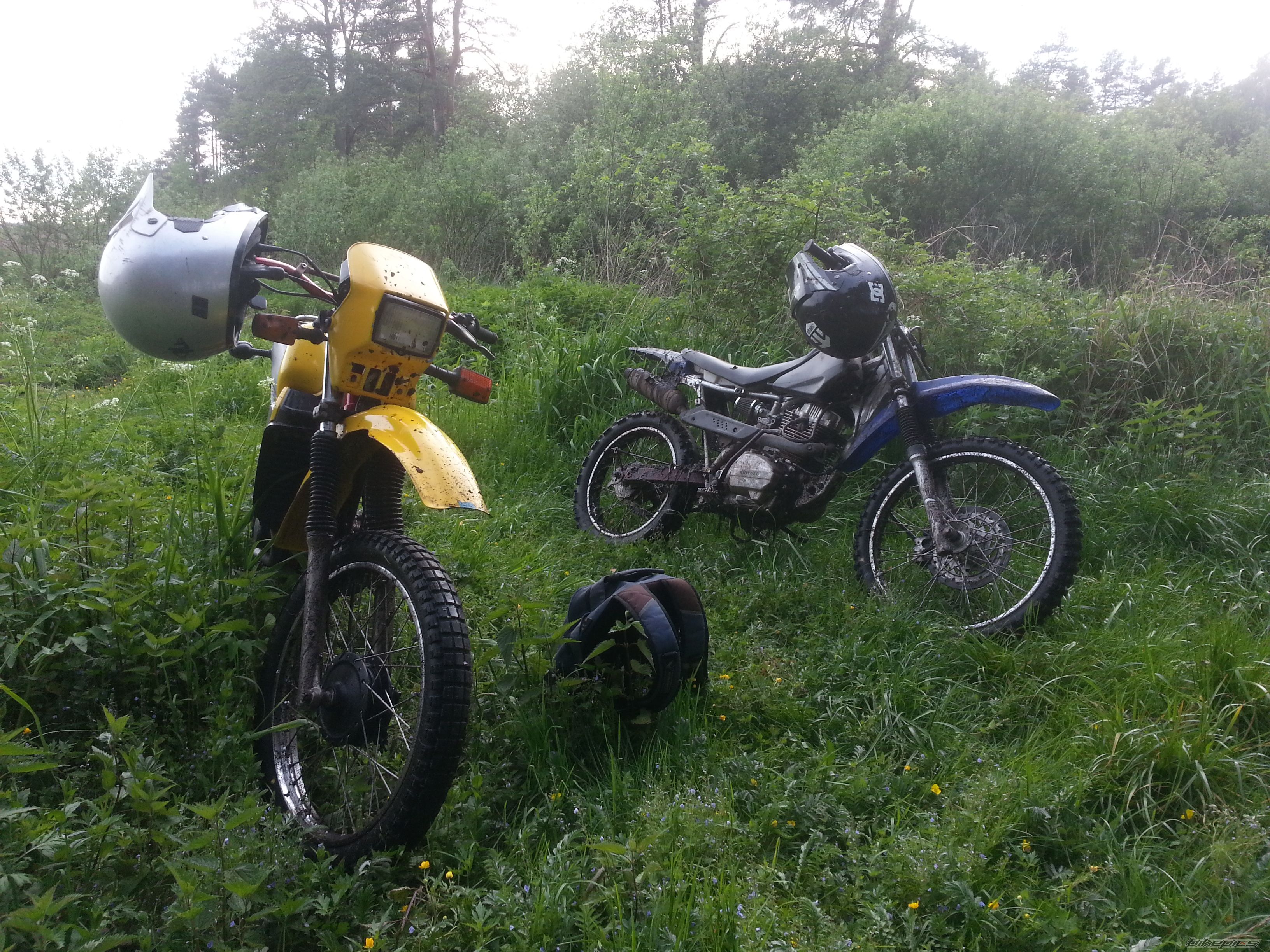 Photo 2704198