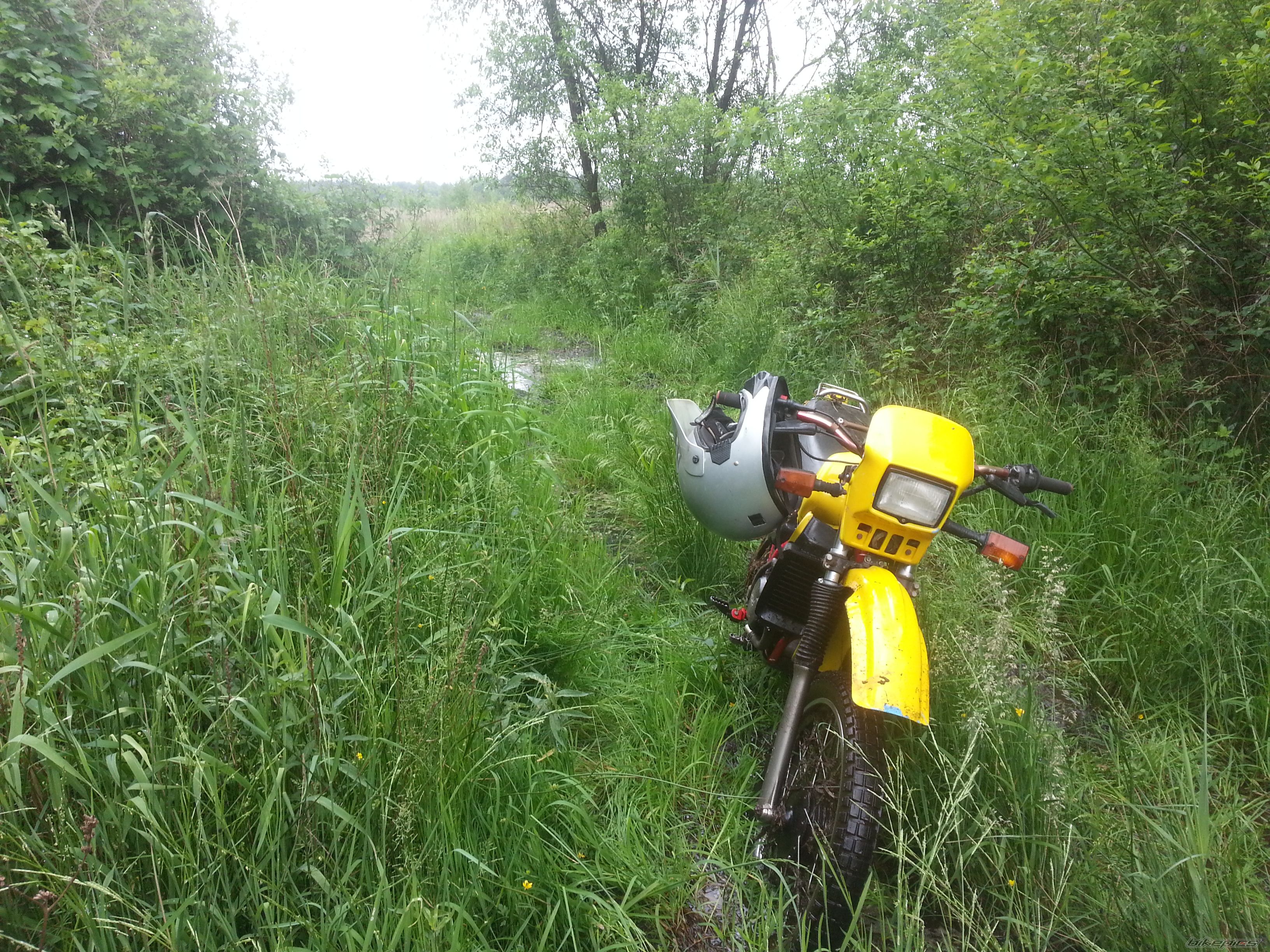 Photo 2704199