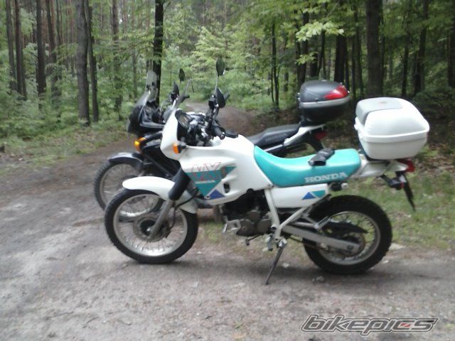Photo 2704203