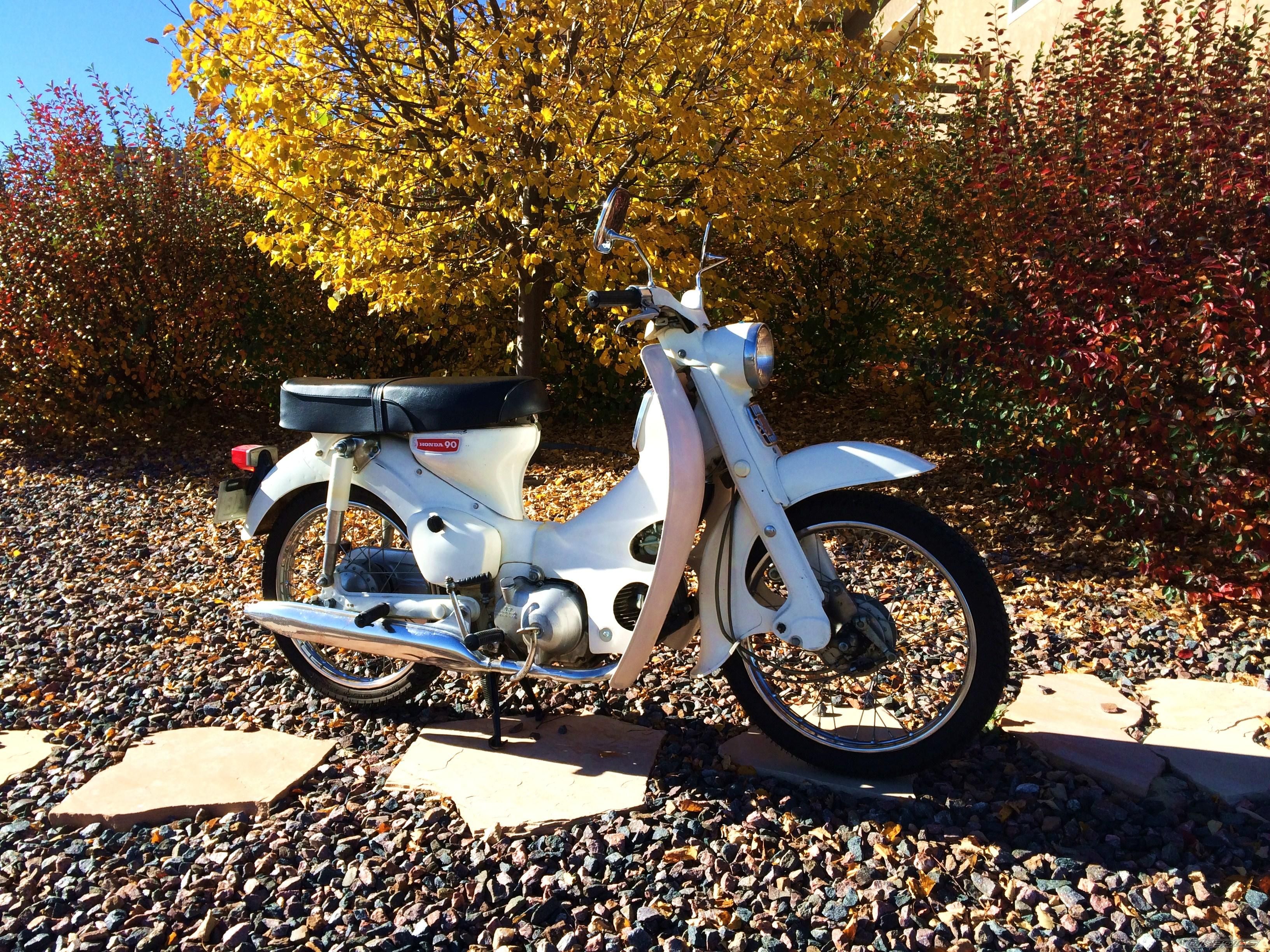 Photo 2704379
