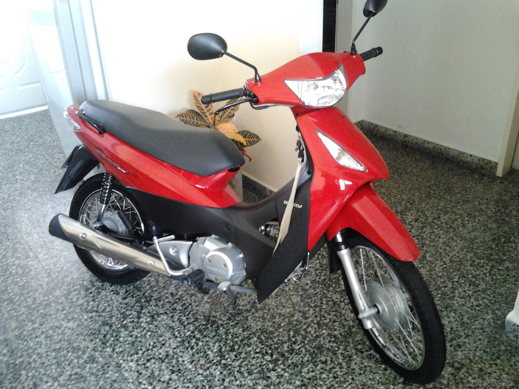 Photo 2704482
