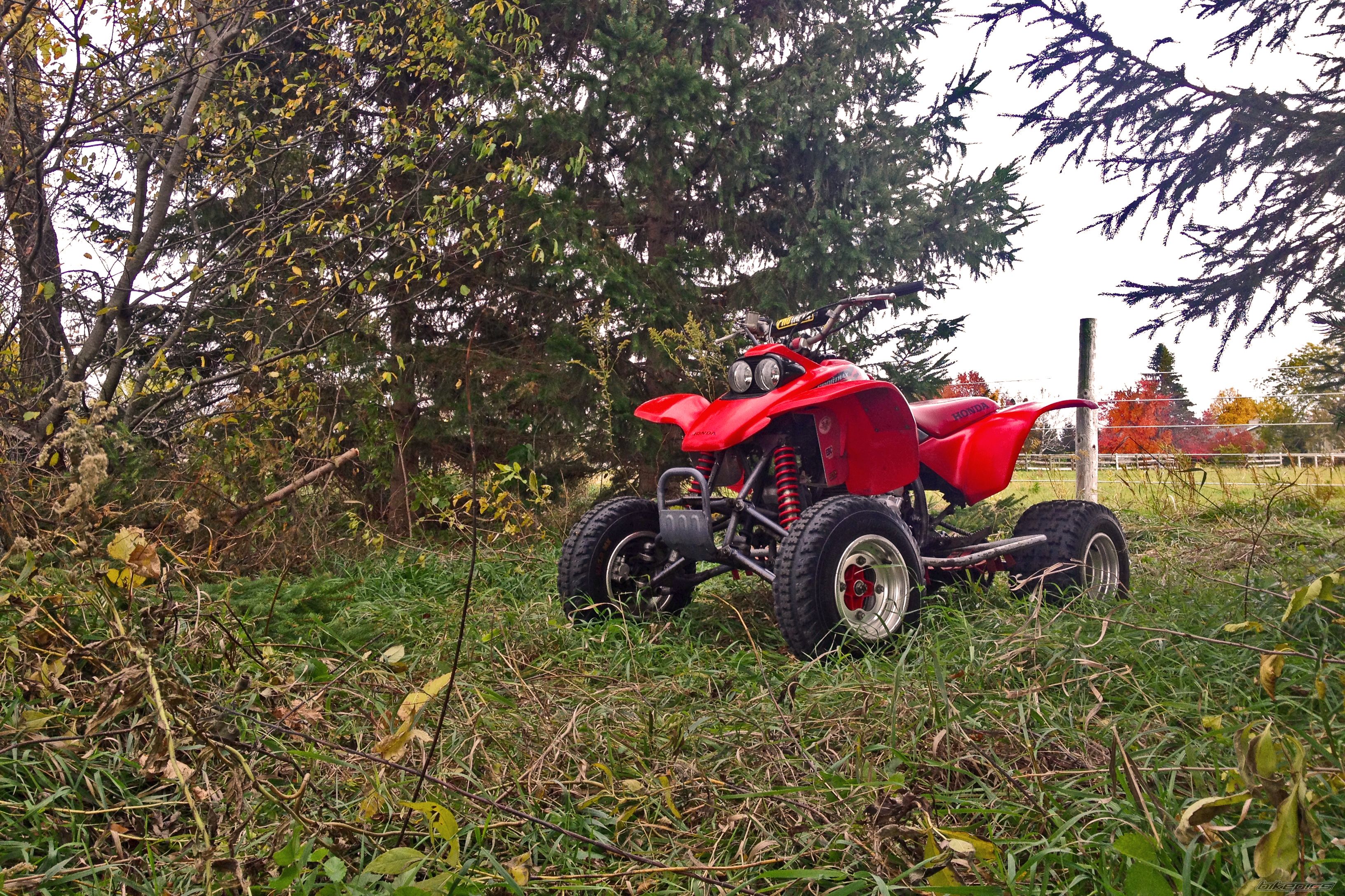 Photo 2704586