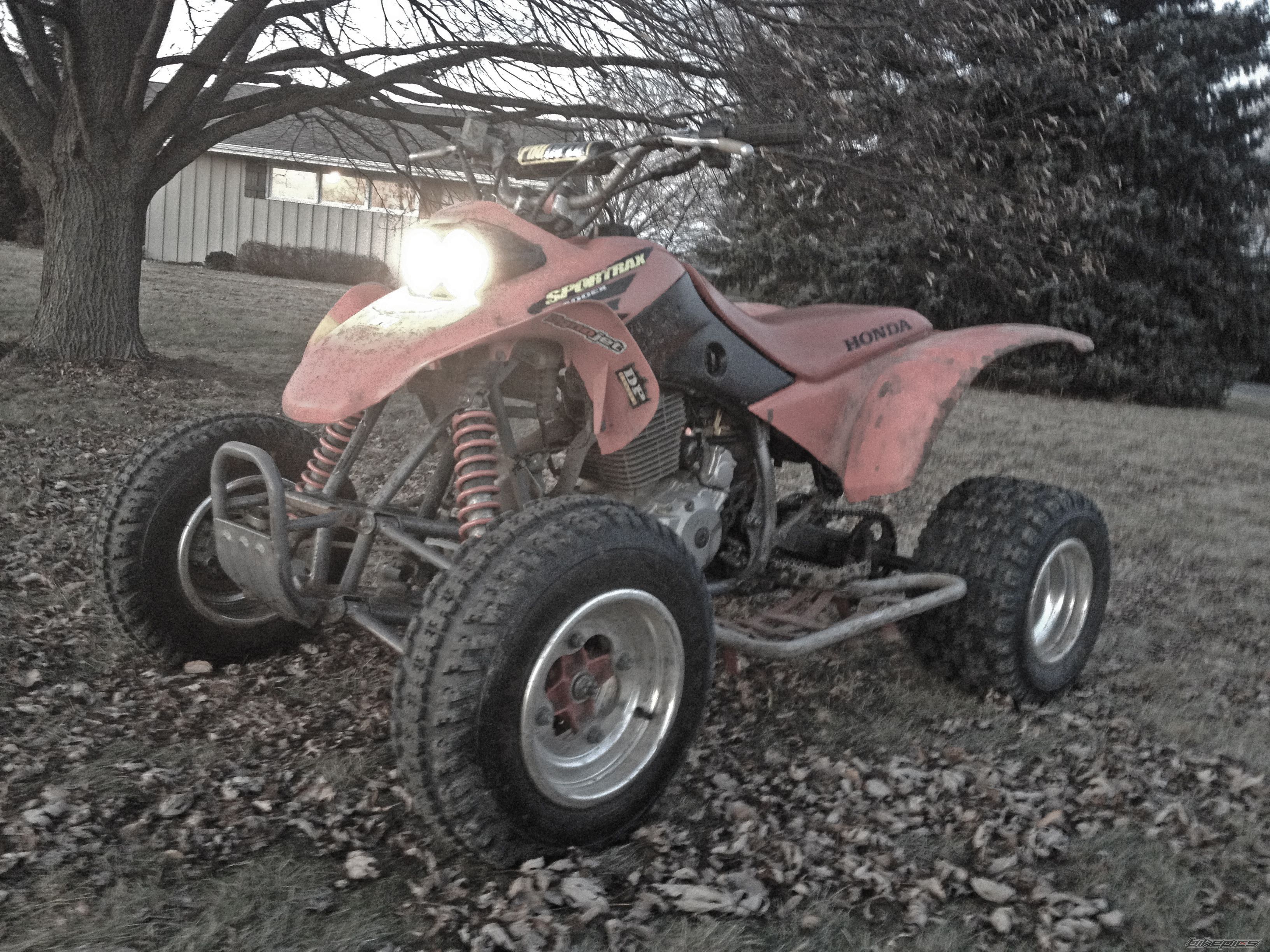 Photo 2704589