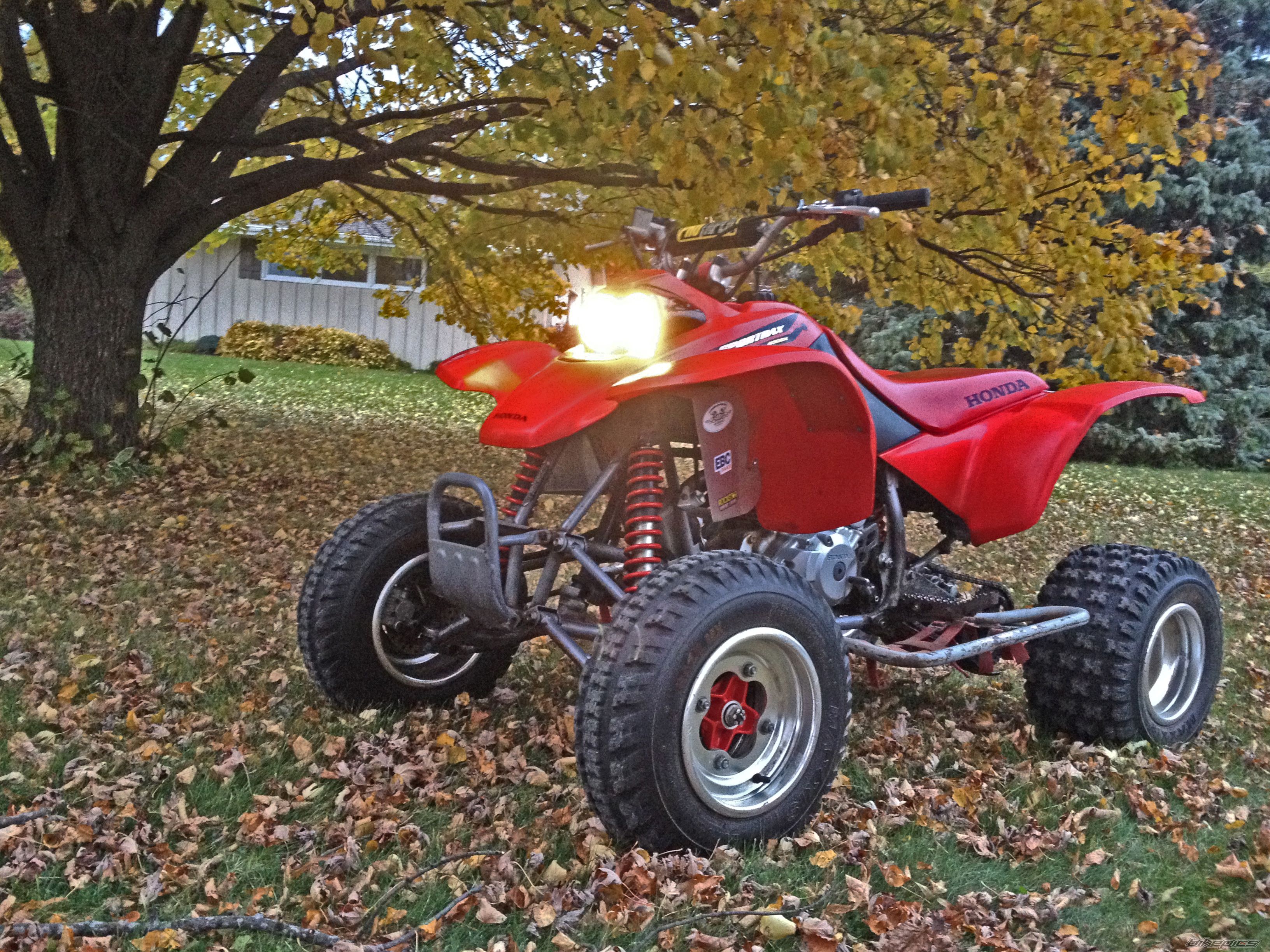 Photo 2704590