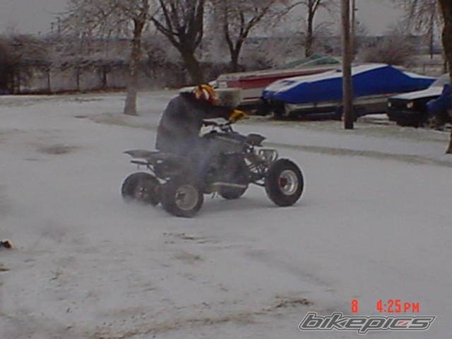 Photo 270469