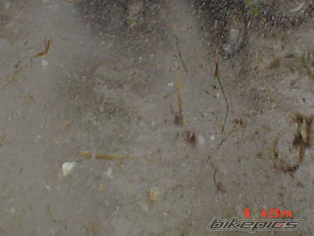 Photo 270473