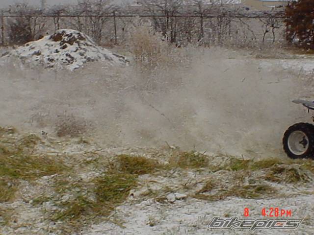 Photo 270474