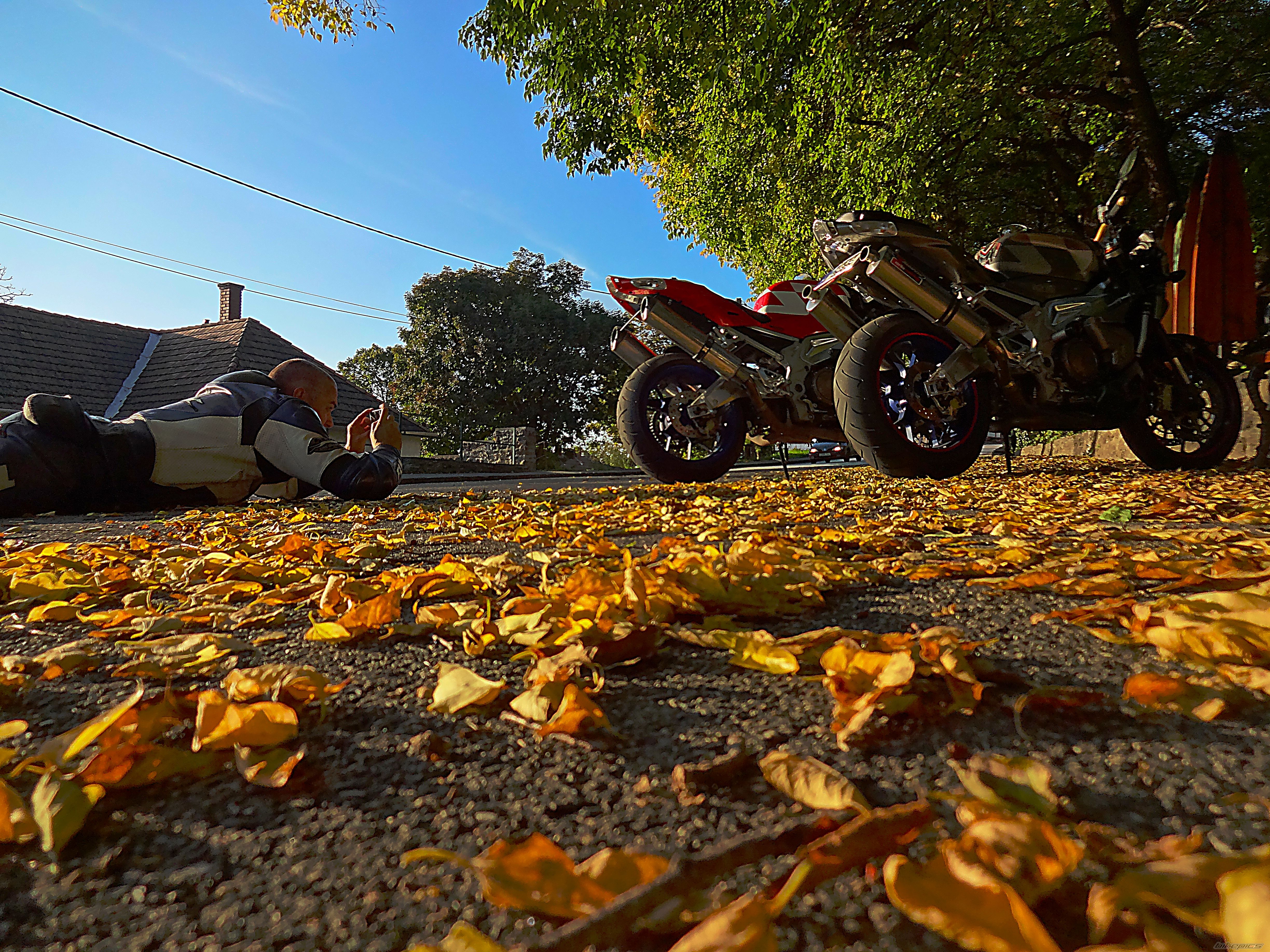 Photo 2704743