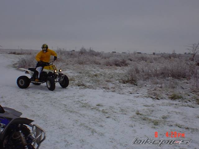 Photo 270478