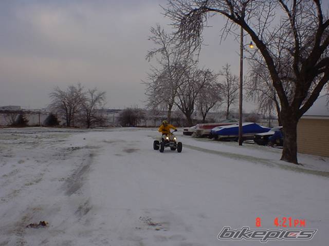 Photo 270479