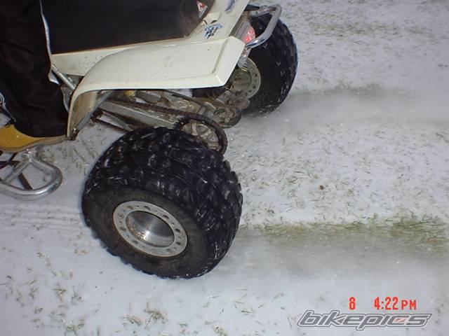 Photo 270480