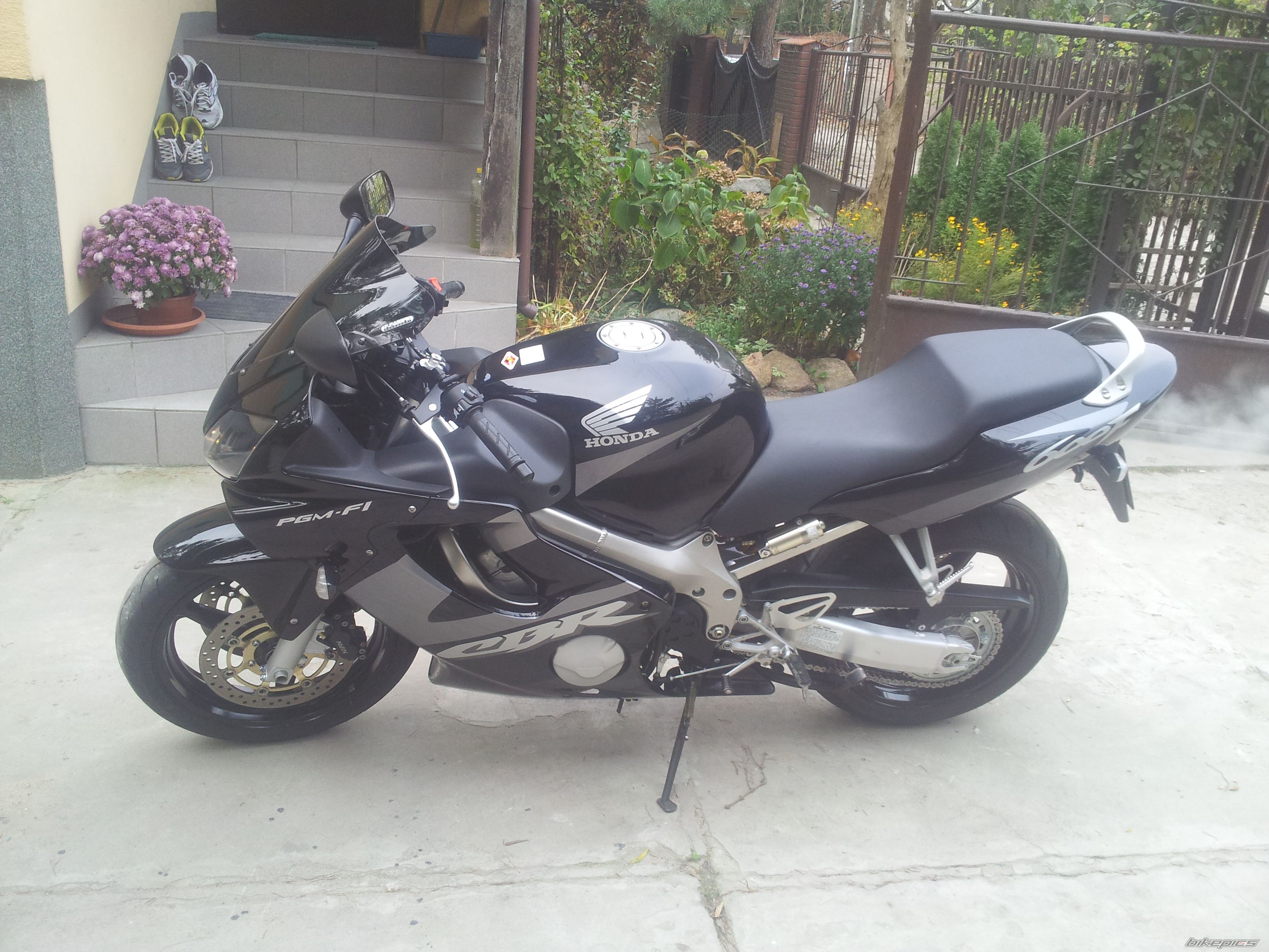 Photo 2704862