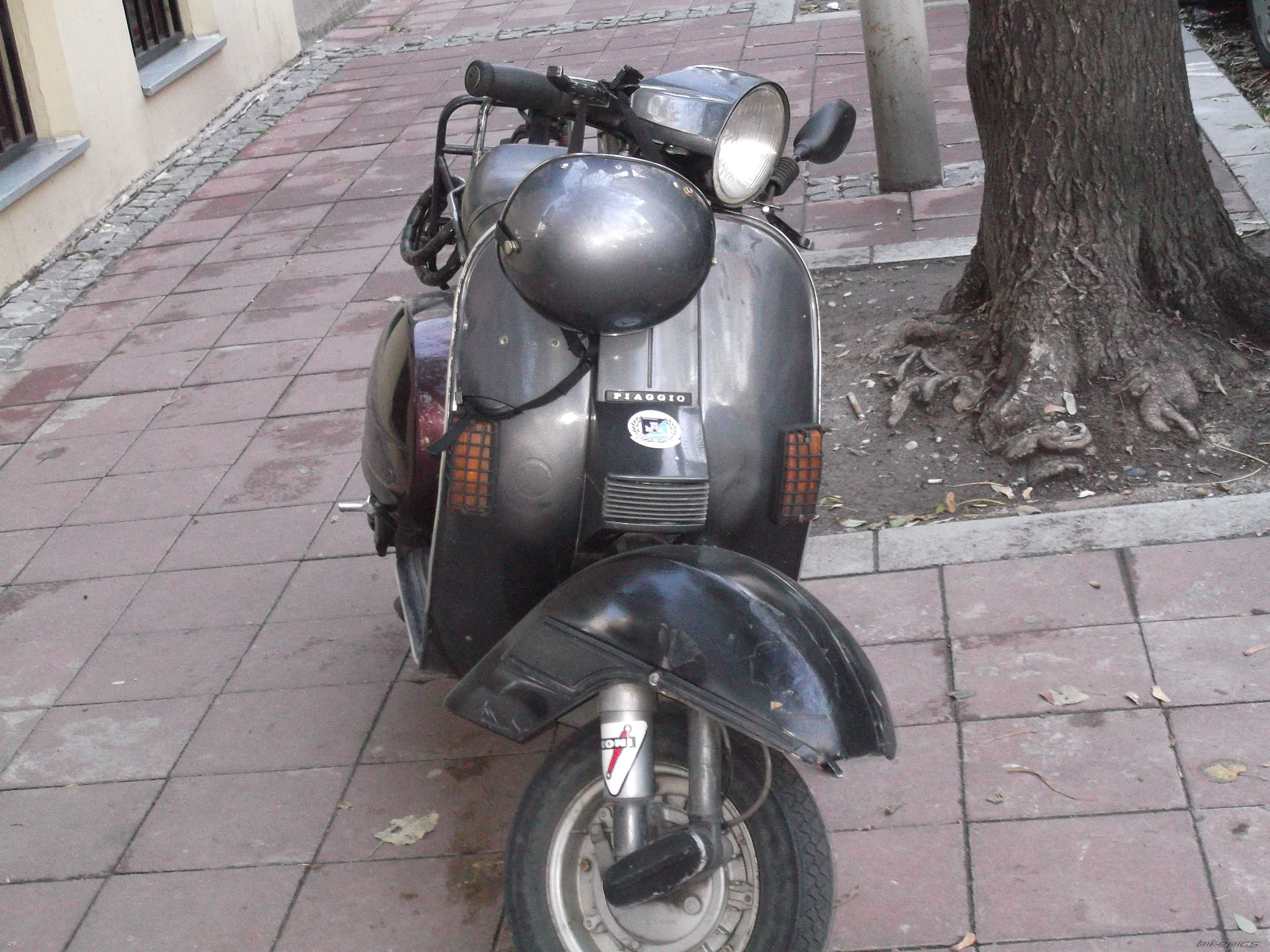 Photo 2704922