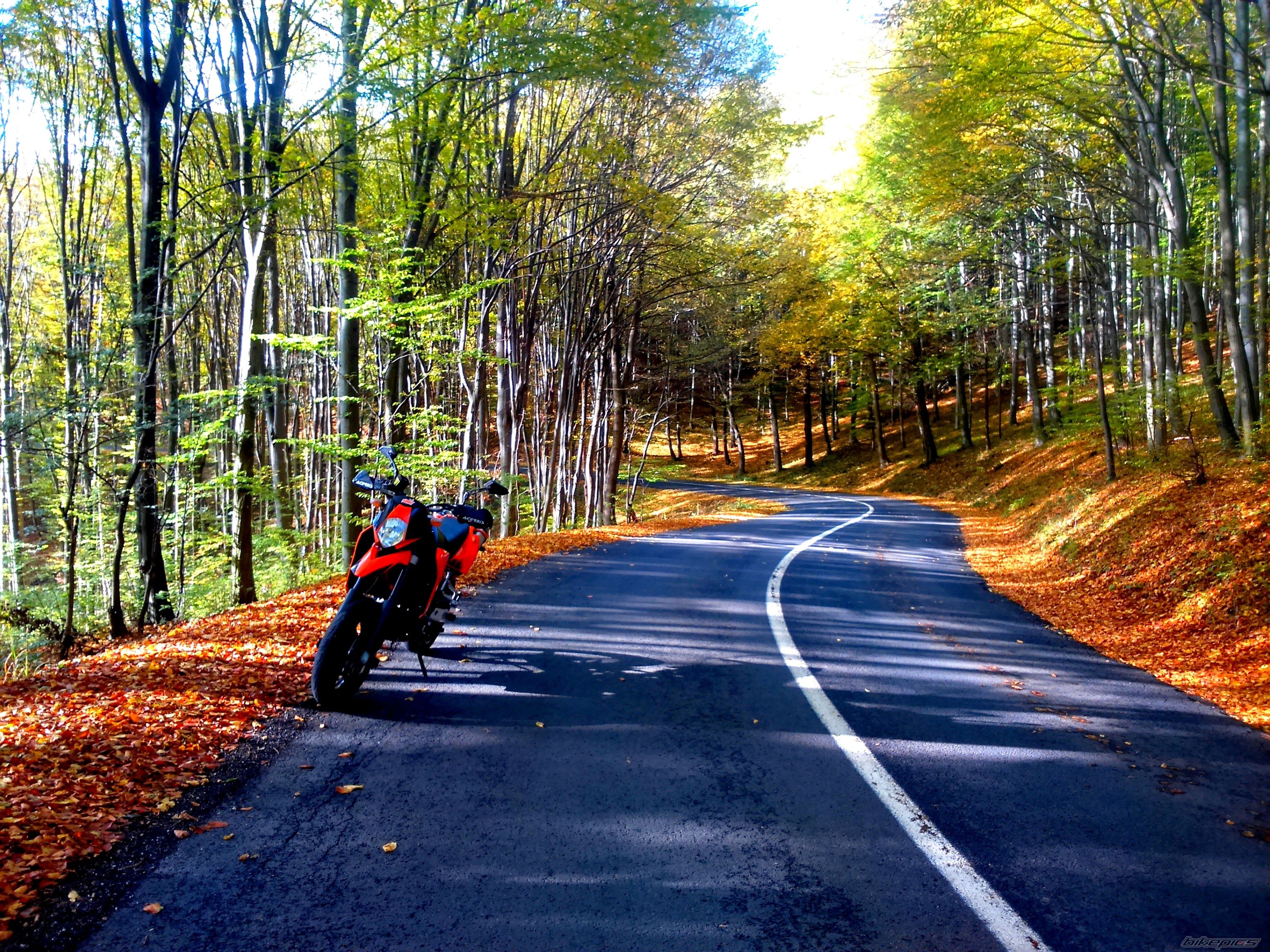 Bike Photo 2704959