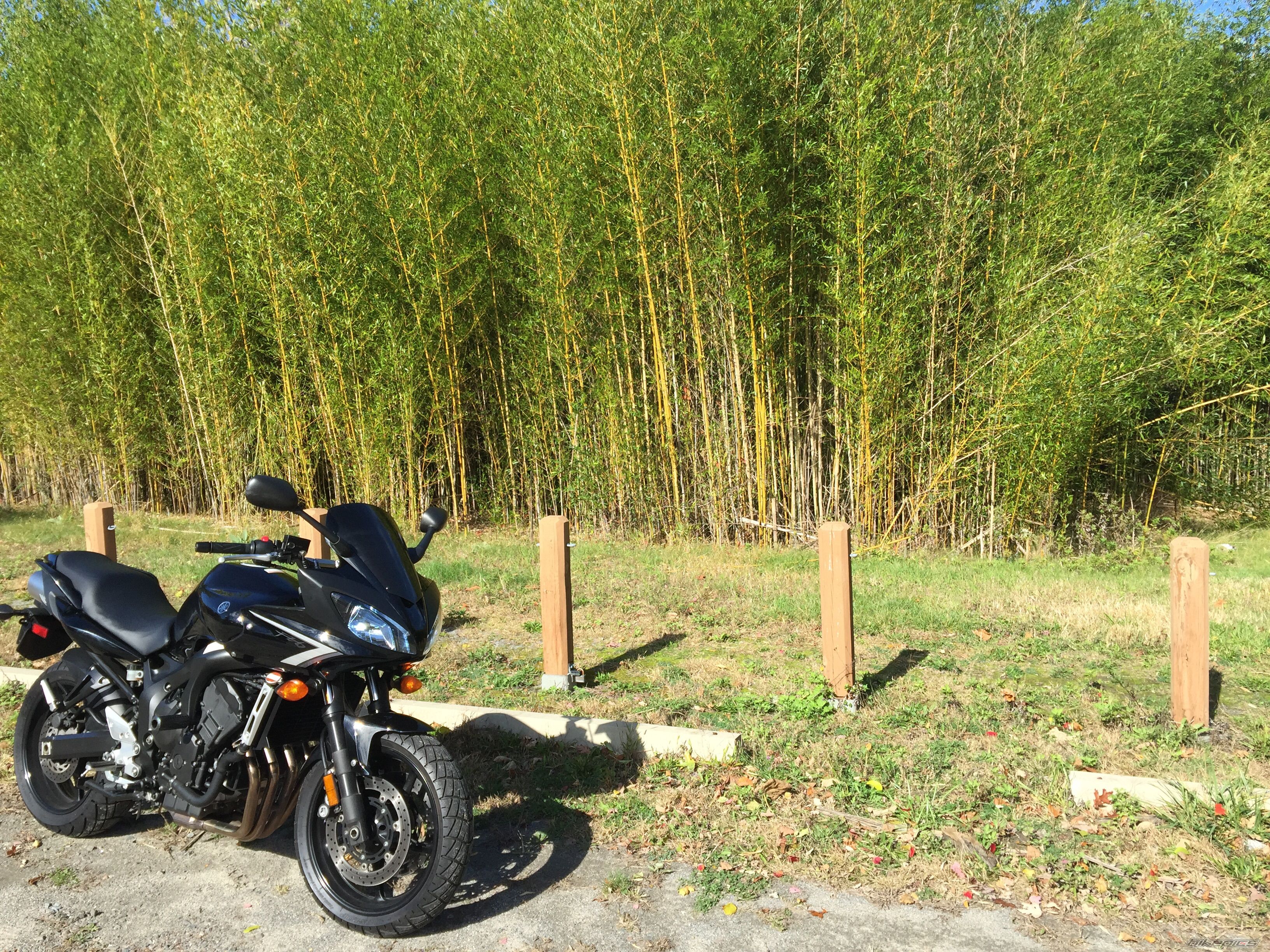 Photo 2705036