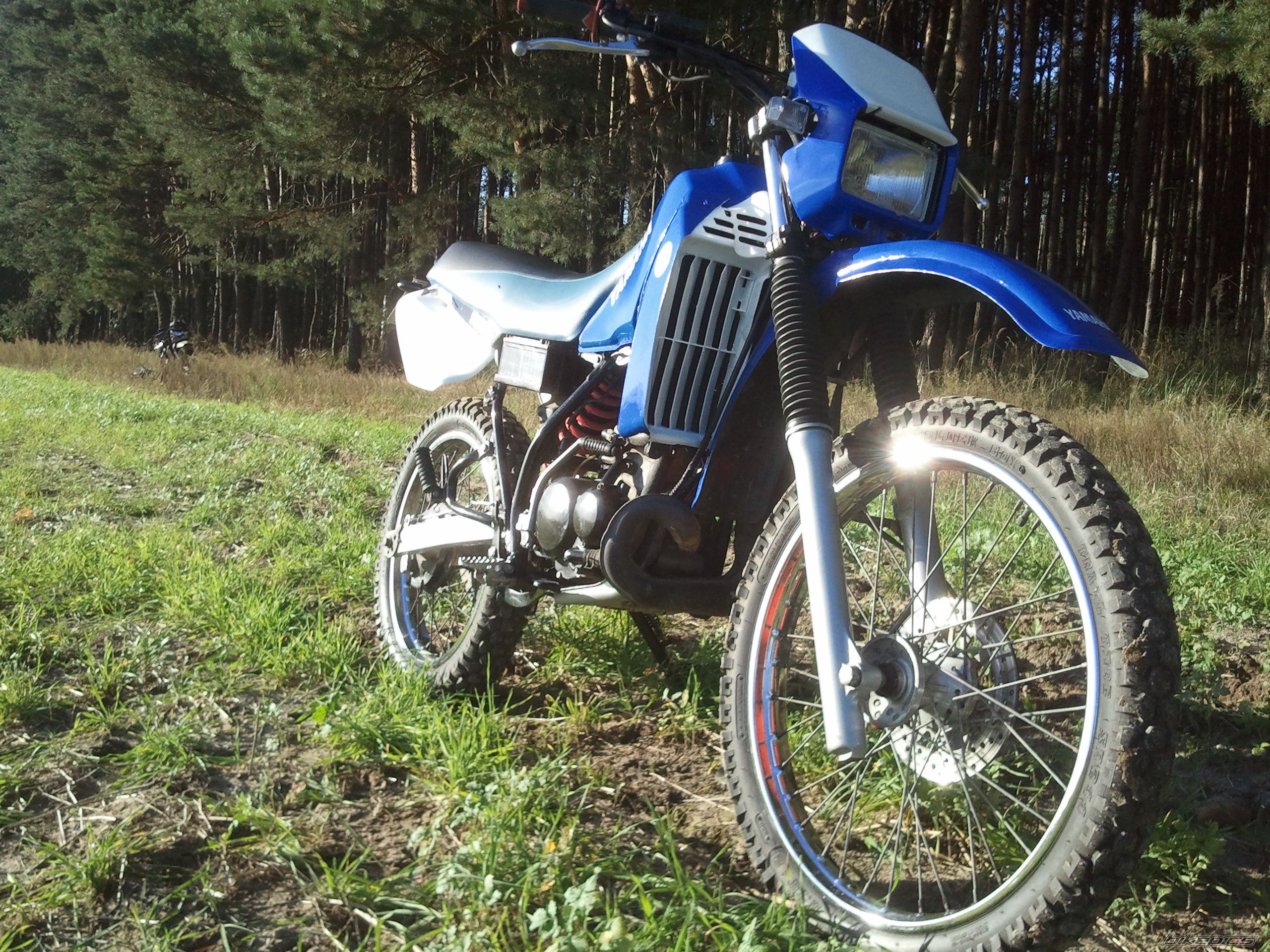 Photo 2705244