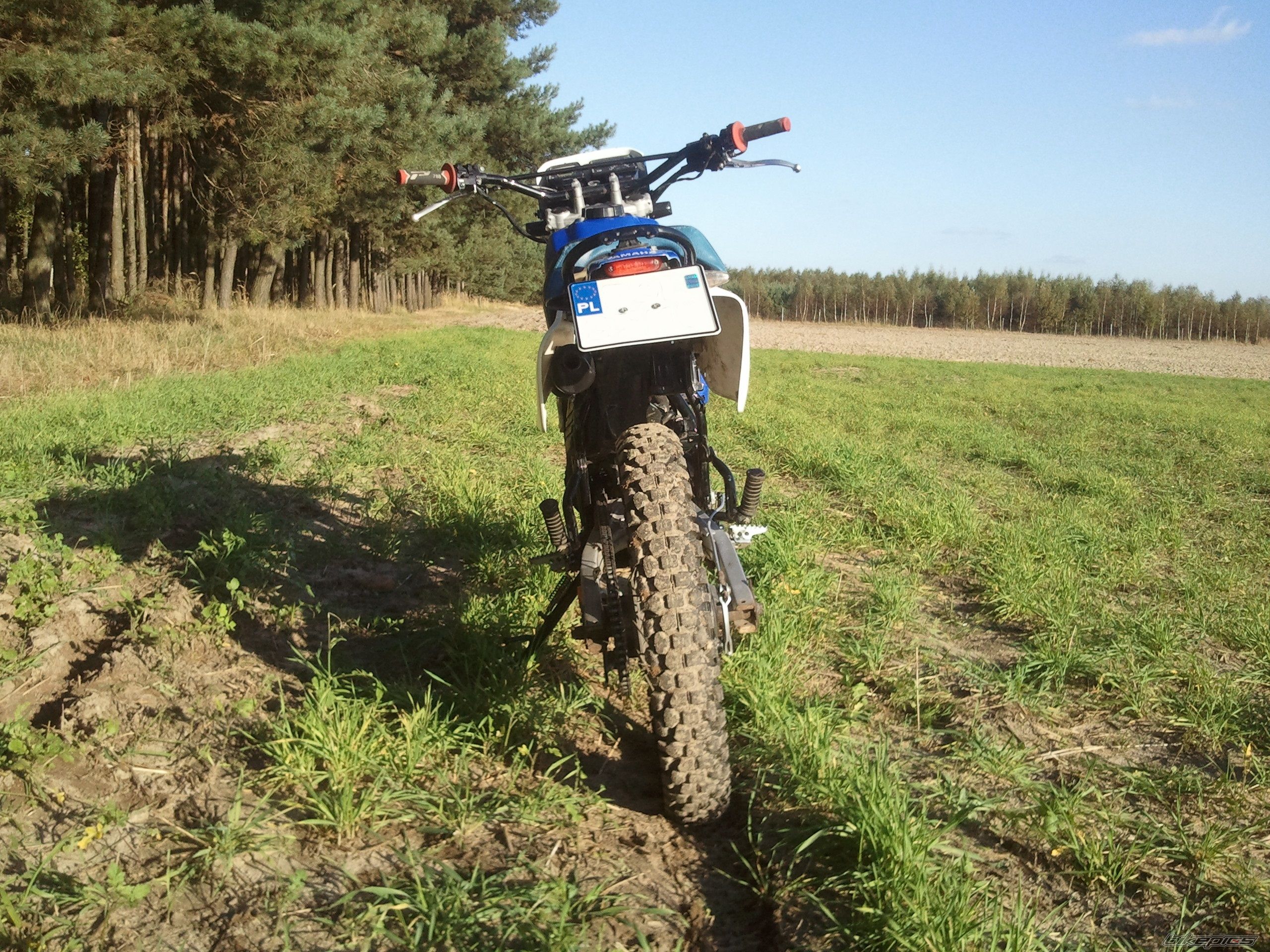 Photo 2705245