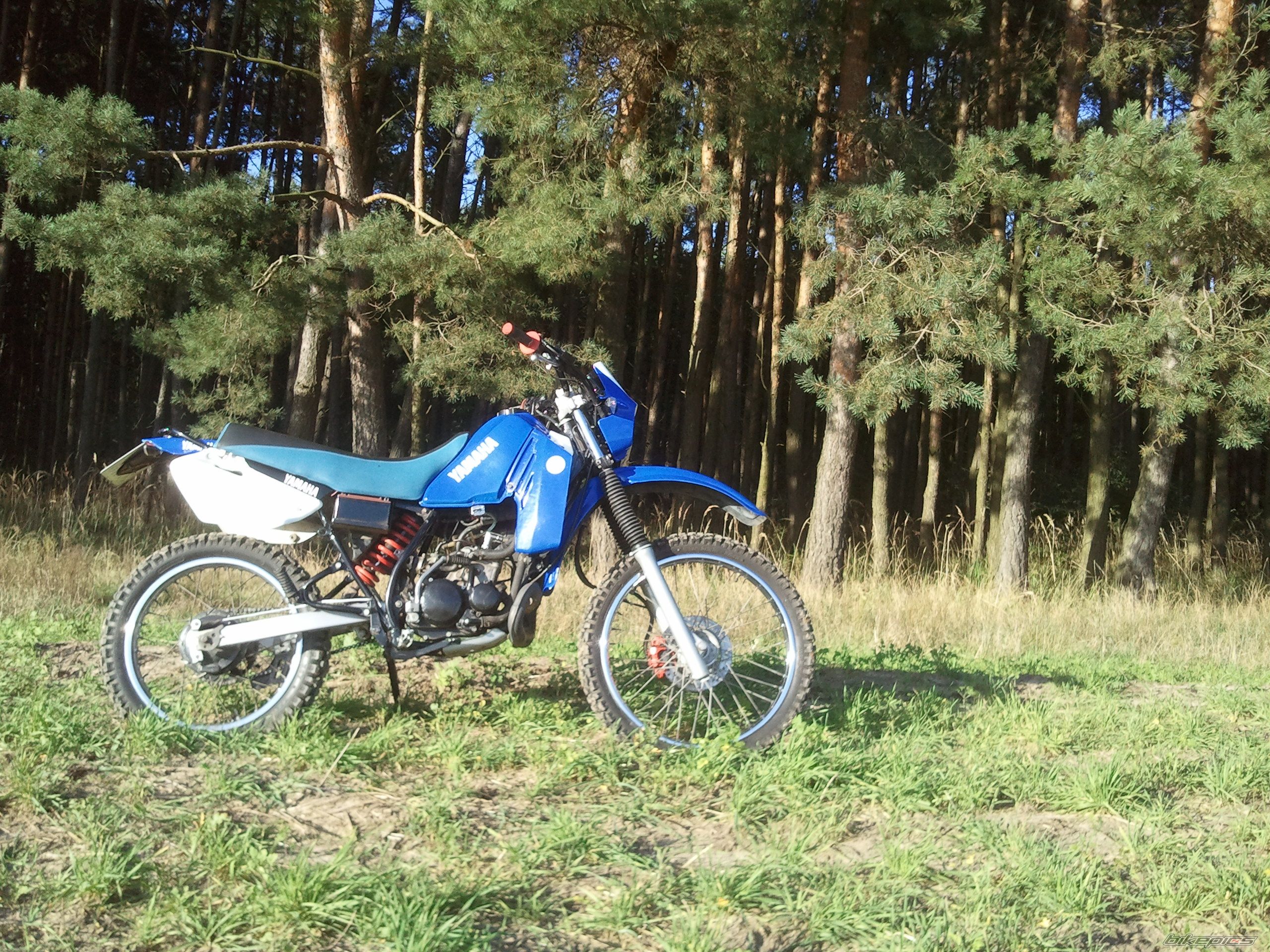 Bike Photo 2705246