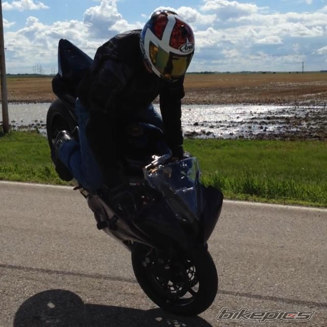 Photo 2705346