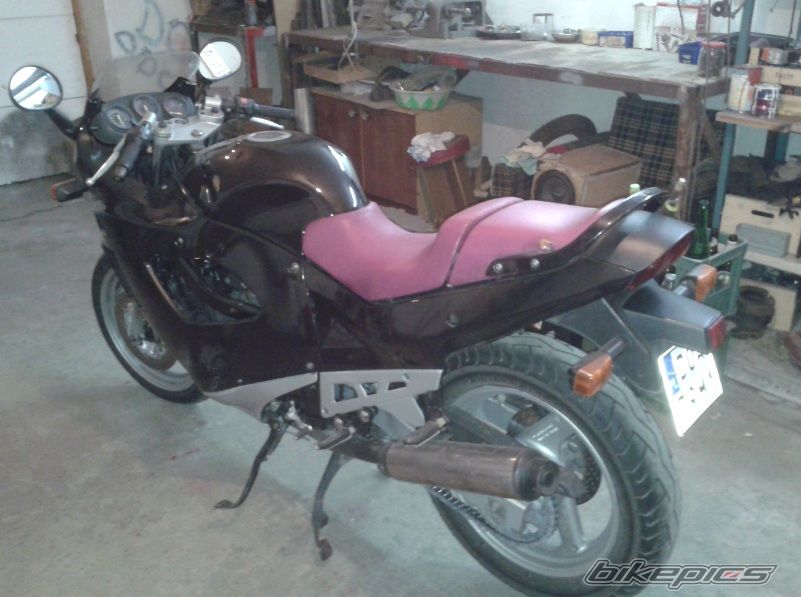 Photo 2705388