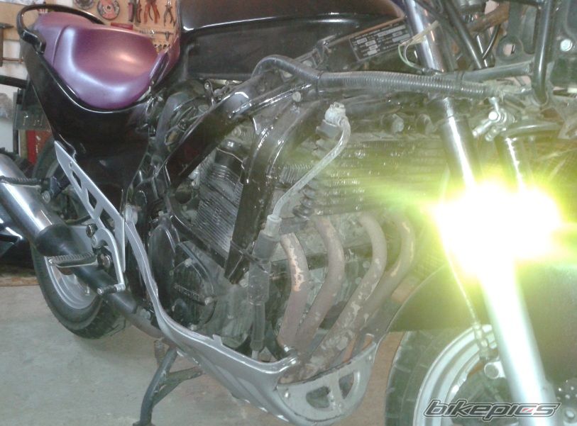 Photo 2705390