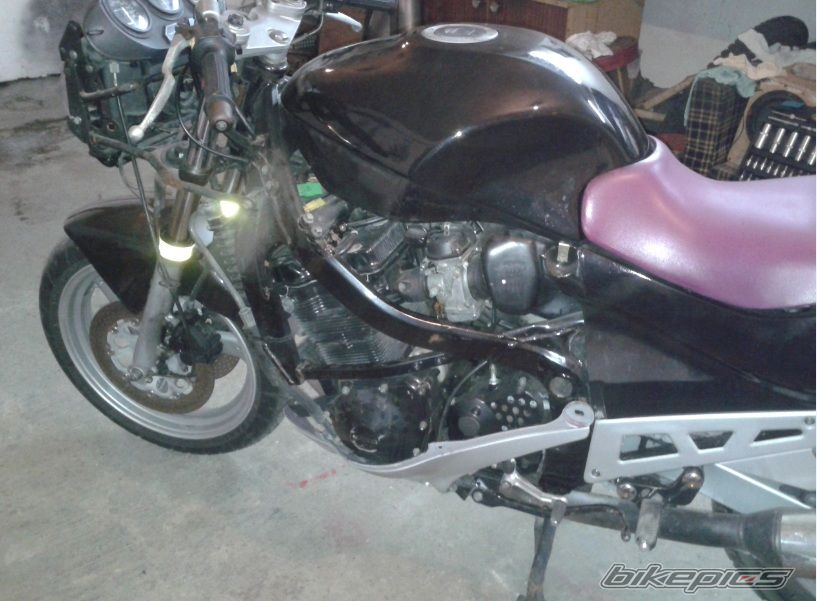 Photo 2705391