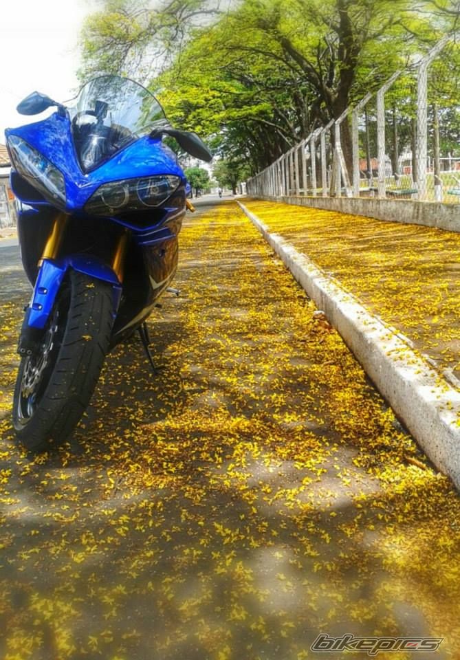 Photo 2705486