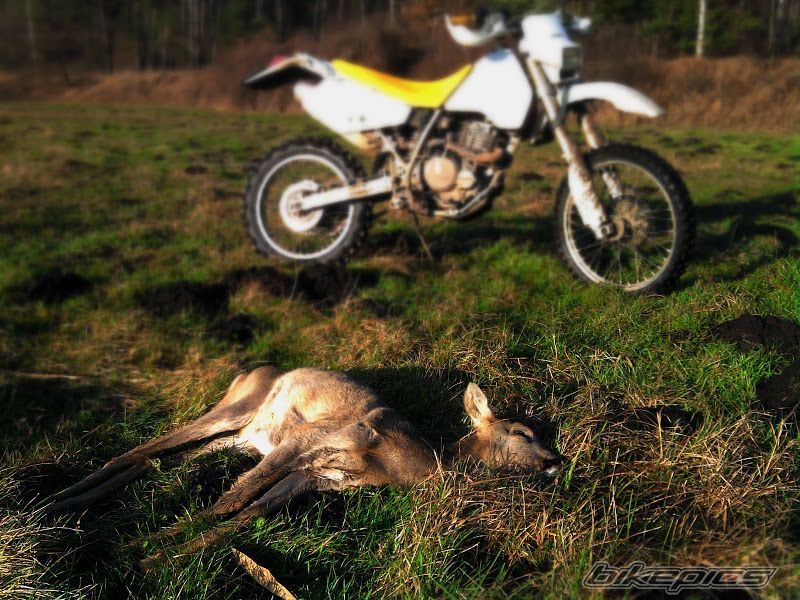 Bike Photo 2705504