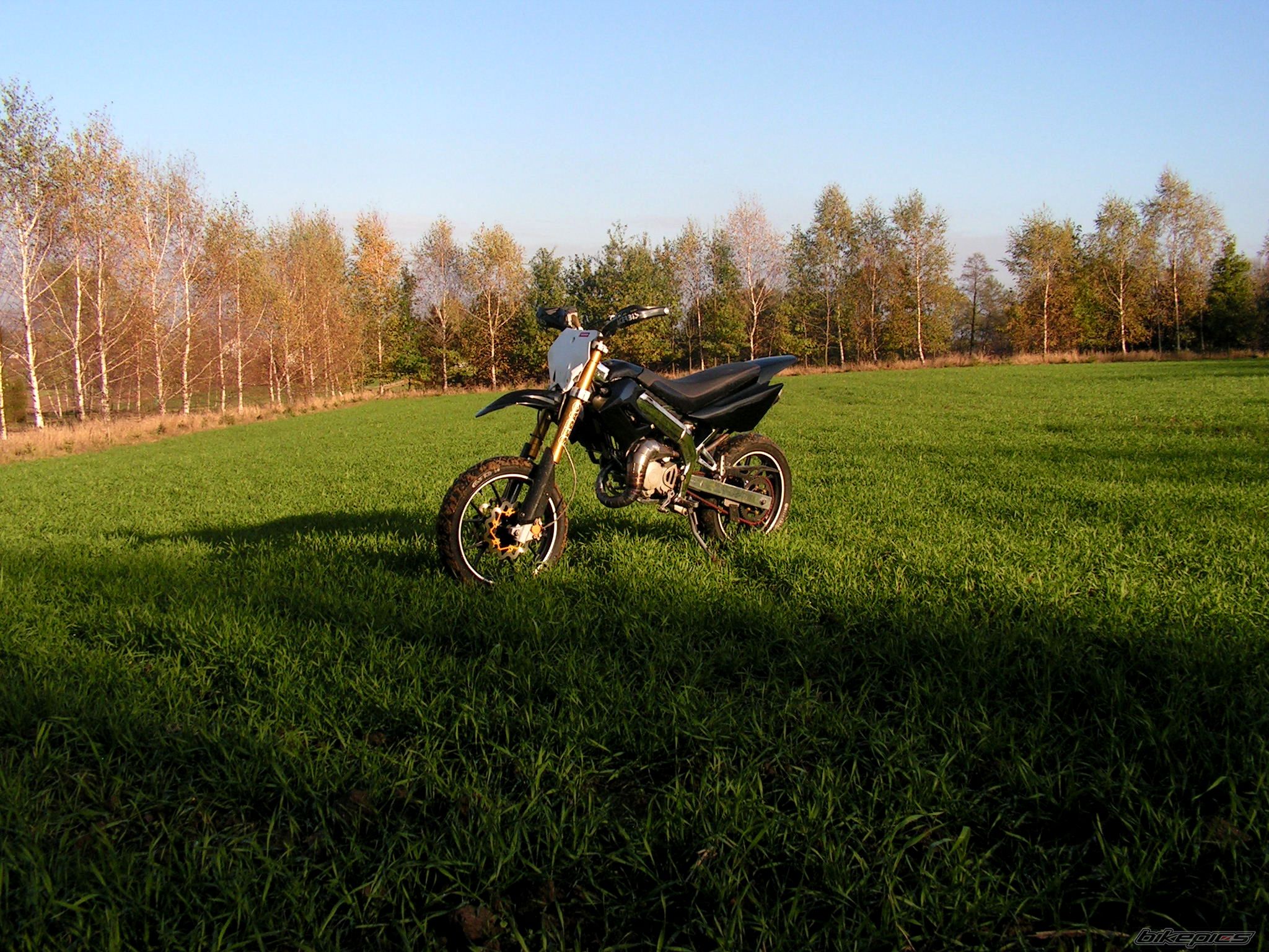 Photo 2706014