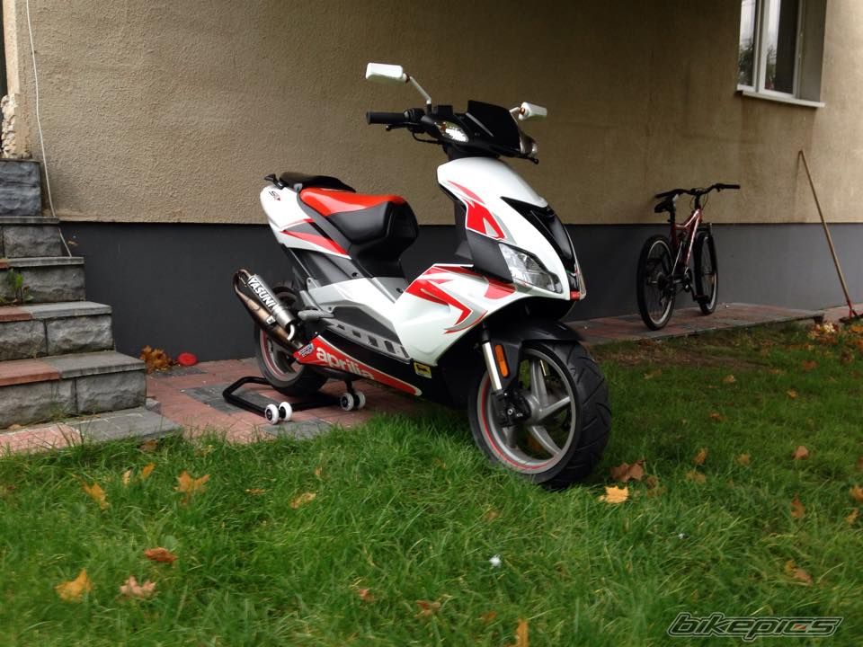 Photo 2706048