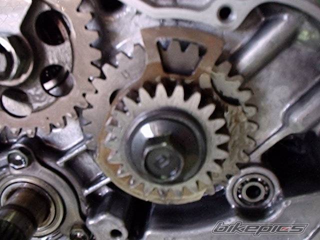 Photo 270607