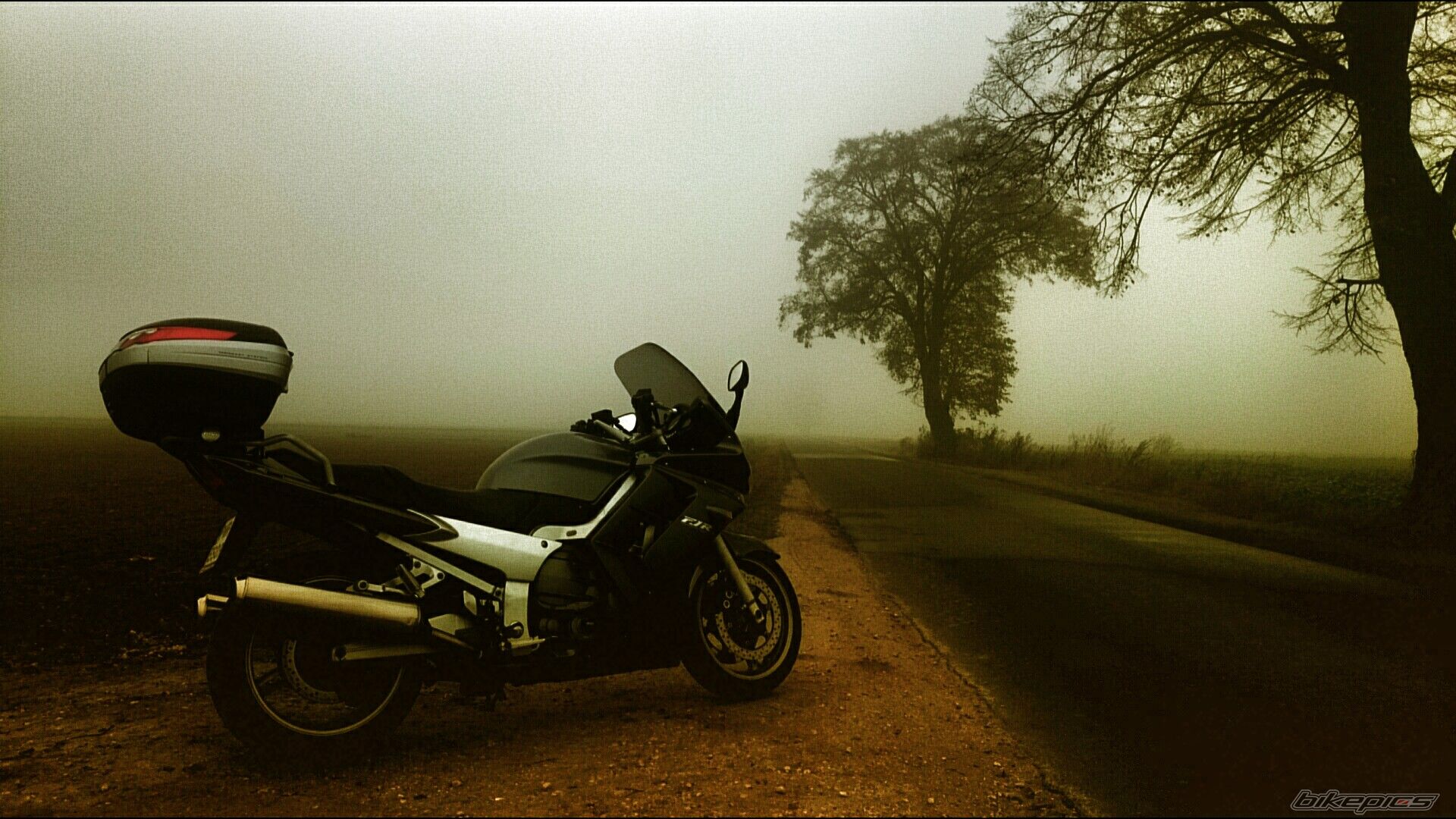 Photo 2706292