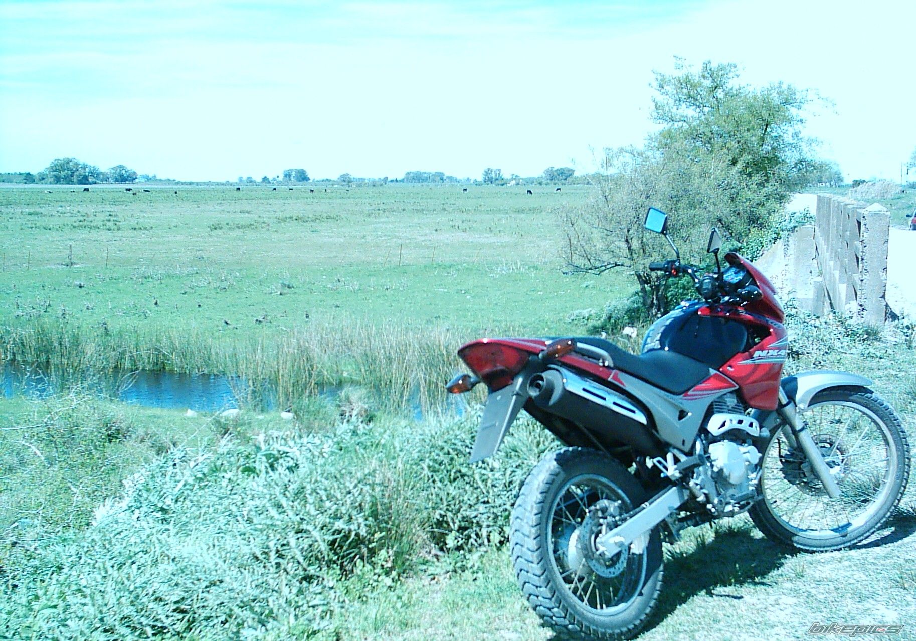 Bike Photo 2706295