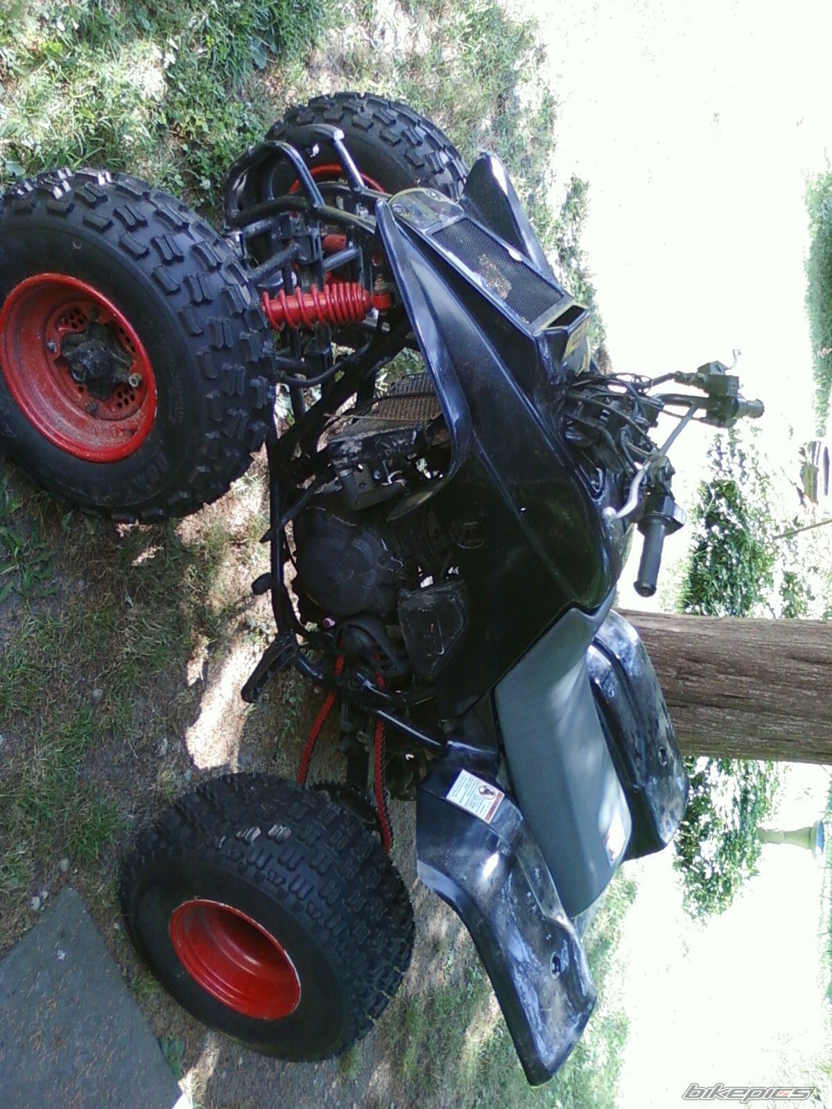Photo 2706322